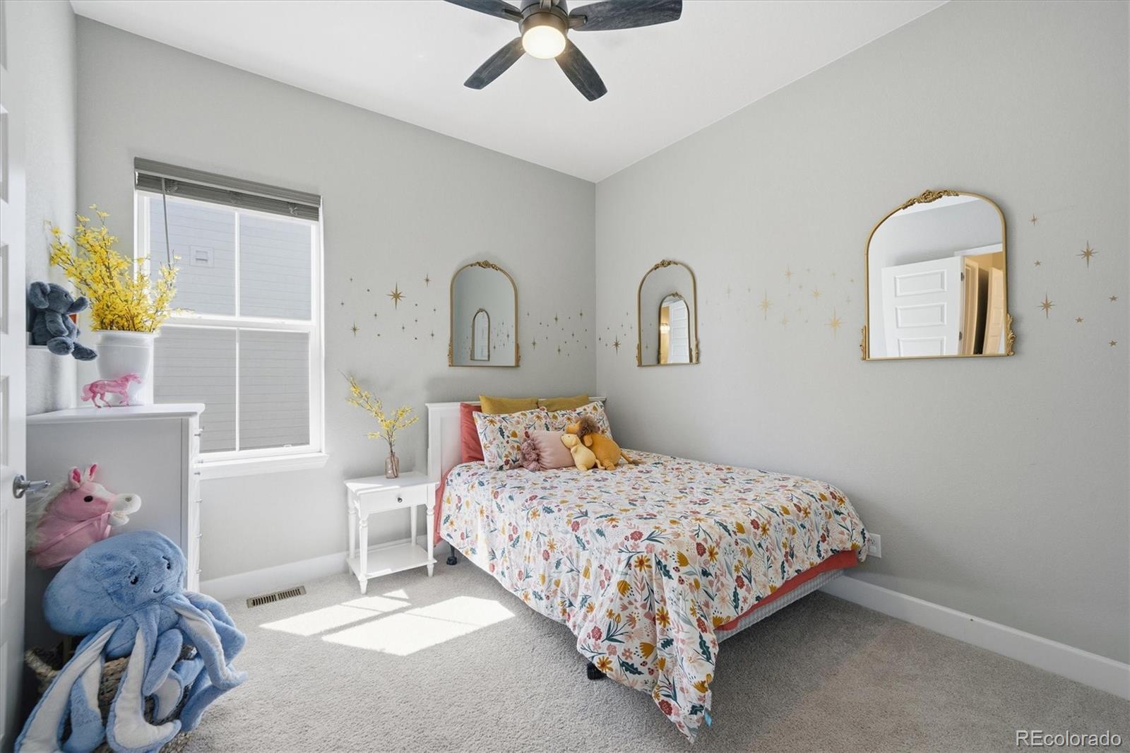MLS Image #28 for 3258  carabiner street,castle rock, Colorado