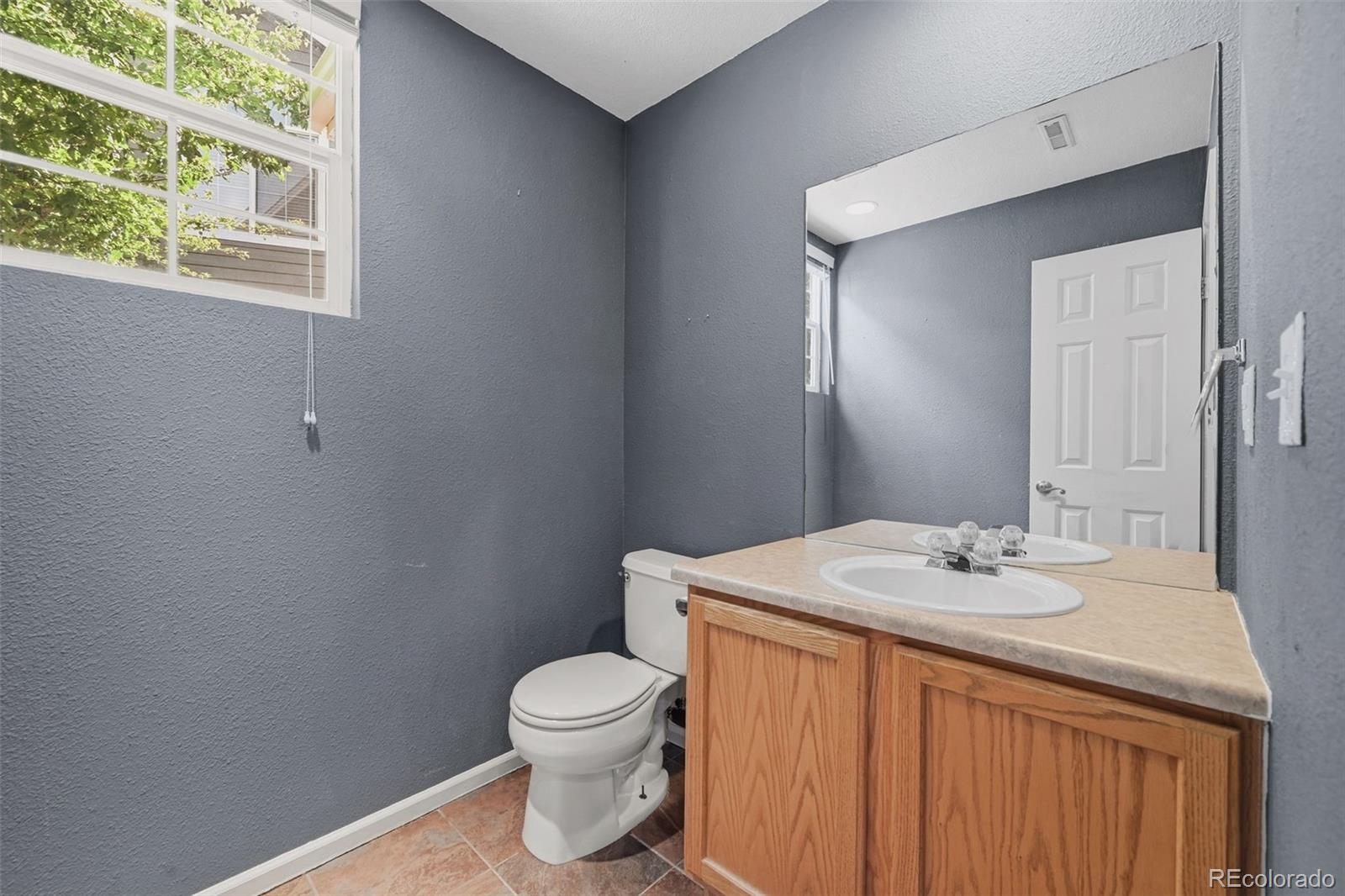 MLS Image #10 for 1277  carlyle park circle,highlands ranch, Colorado