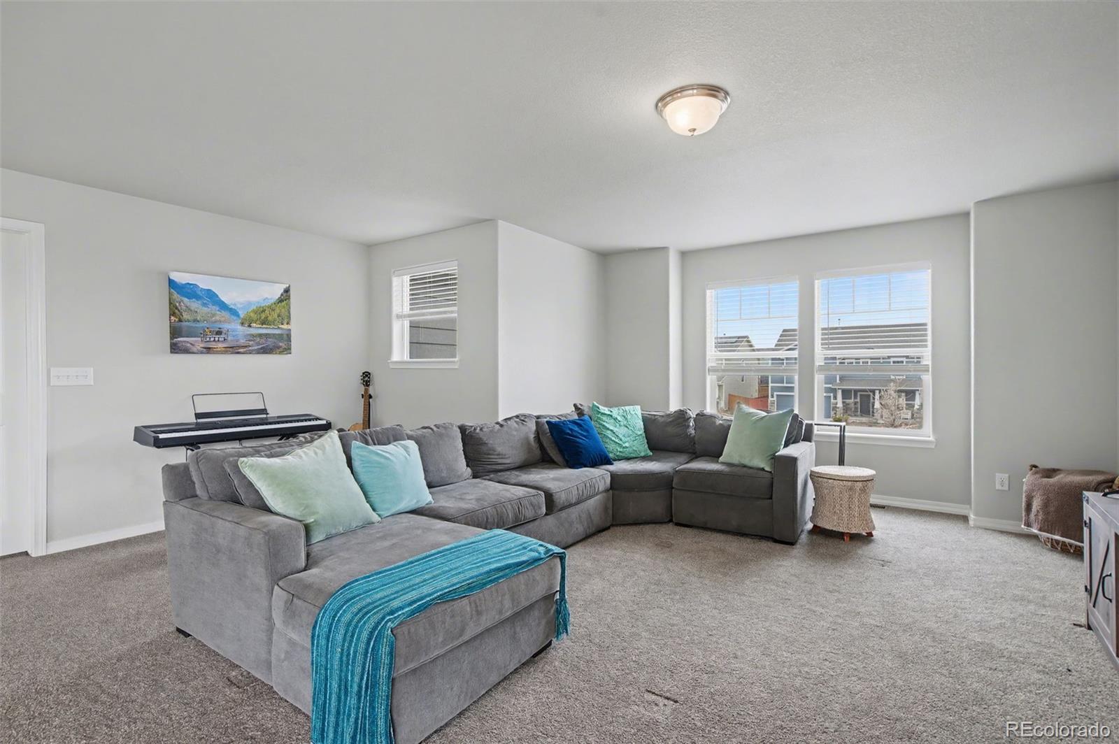 MLS Image #16 for 8271  white fish way,colorado springs, Colorado