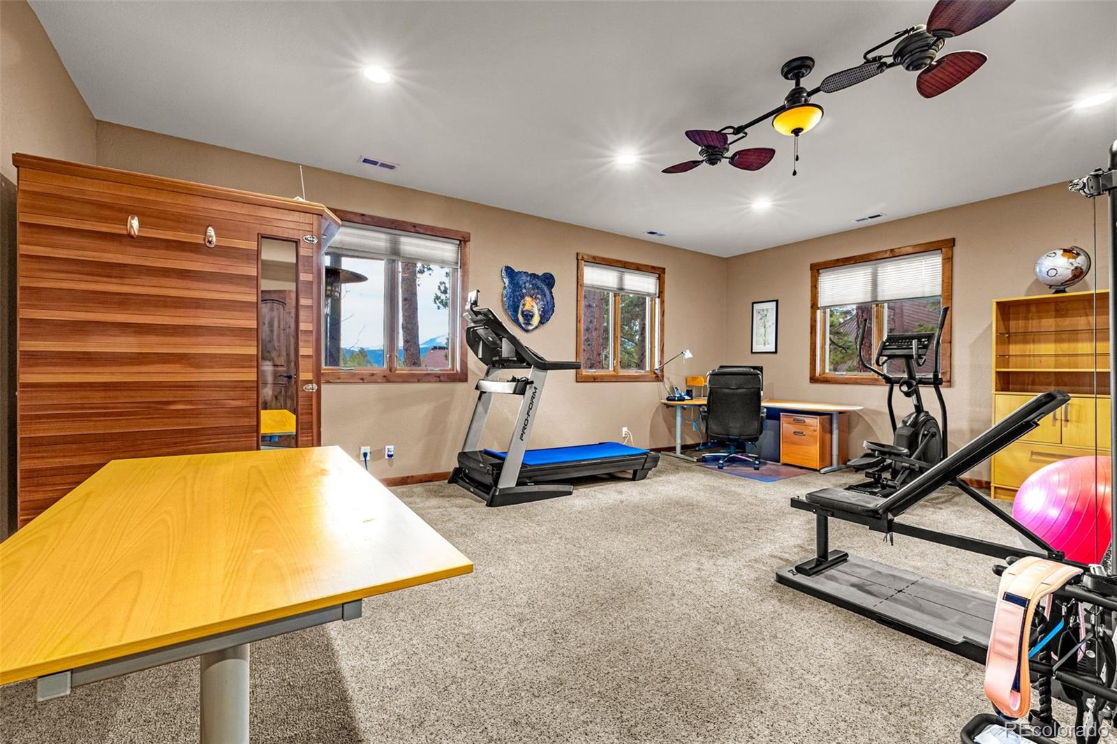 MLS Image #35 for 791  skyline drive,woodland park, Colorado