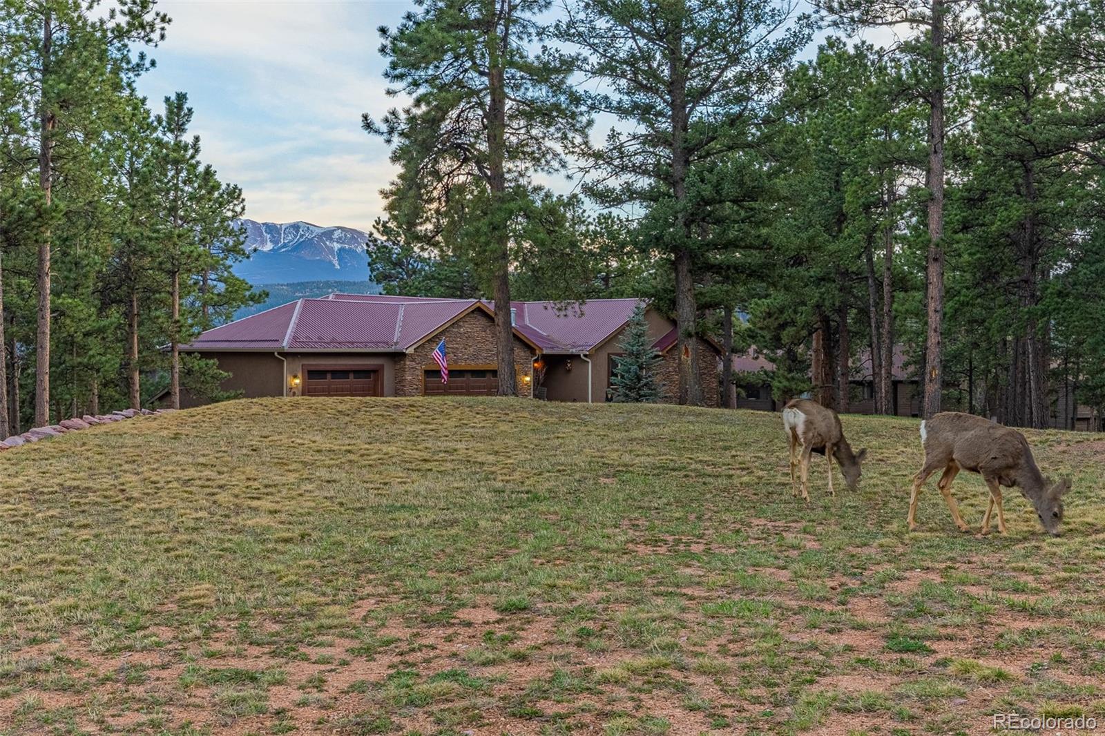 MLS Image #40 for 791  skyline drive,woodland park, Colorado