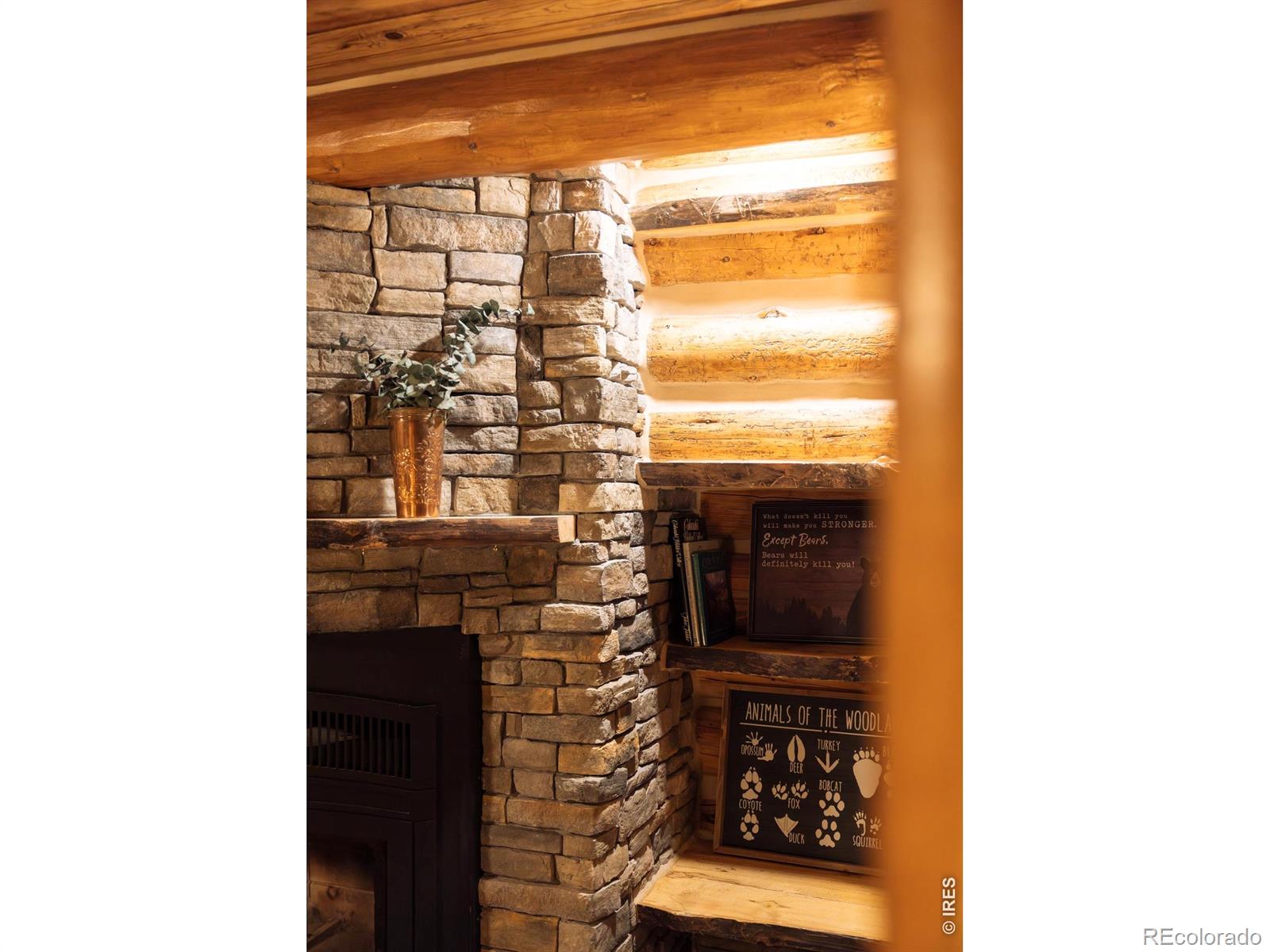 MLS Image #11 for 14142 n saint vrain drive,lyons, Colorado