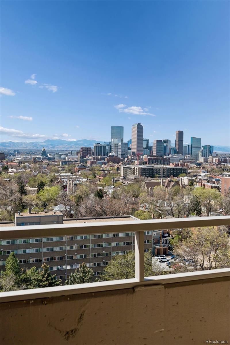 MLS Image #27 for 1313 n williams street,denver, Colorado