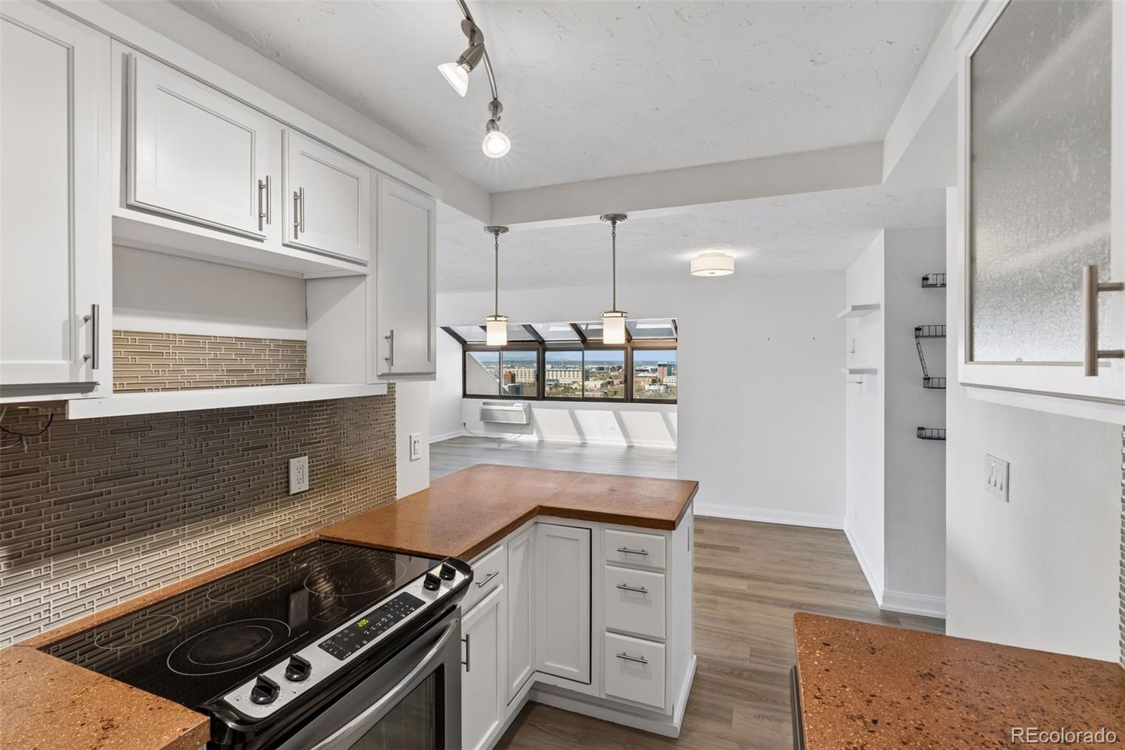 MLS Image #5 for 1313 n williams street,denver, Colorado