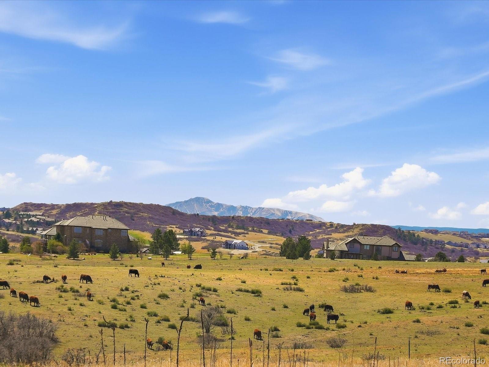 MLS Image #46 for 17252  rose mallow avenue,parker, Colorado
