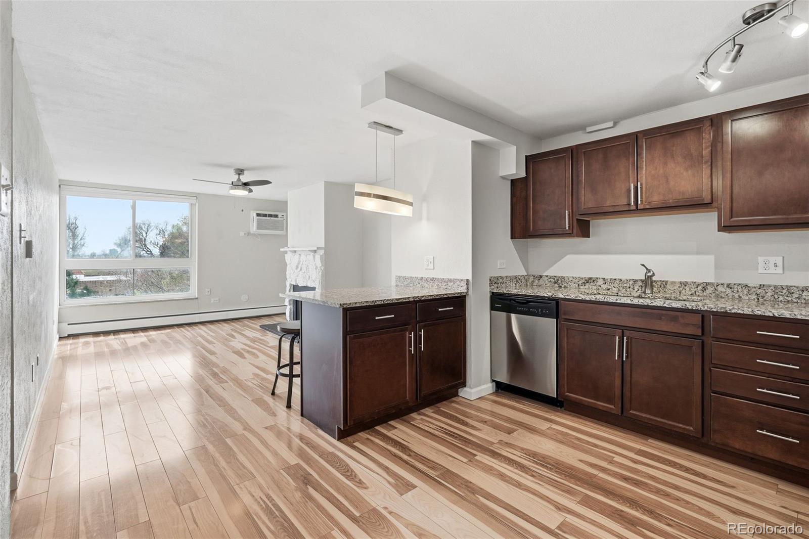 MLS Image #16 for 1050 n lafayette ,denver, Colorado