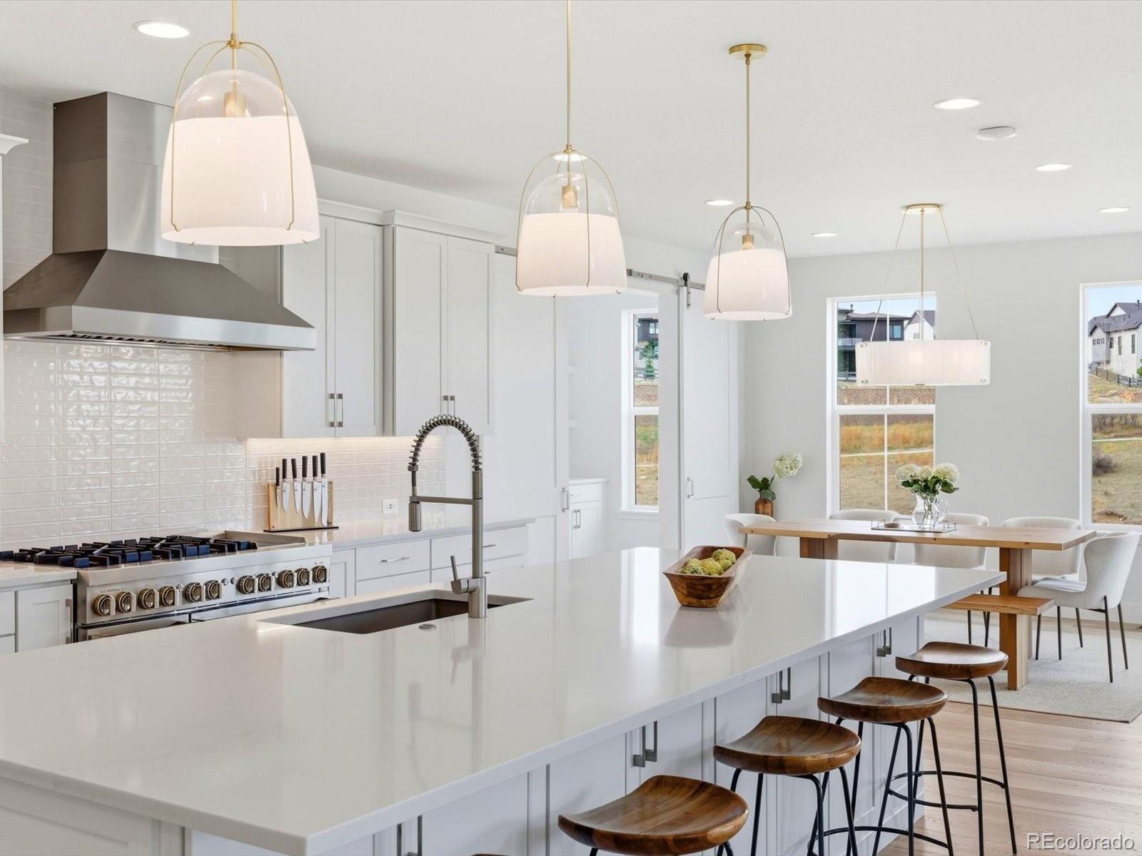 MLS Image #10 for 6526  still pine circle,castle pines, Colorado