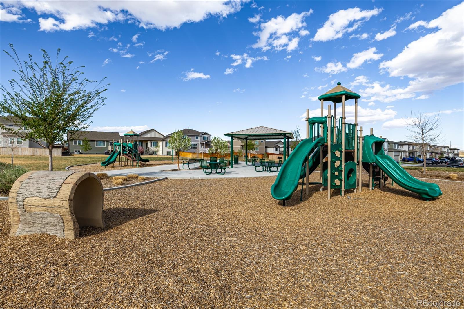 MLS Image #36 for 844  forest canyon road,severance, Colorado