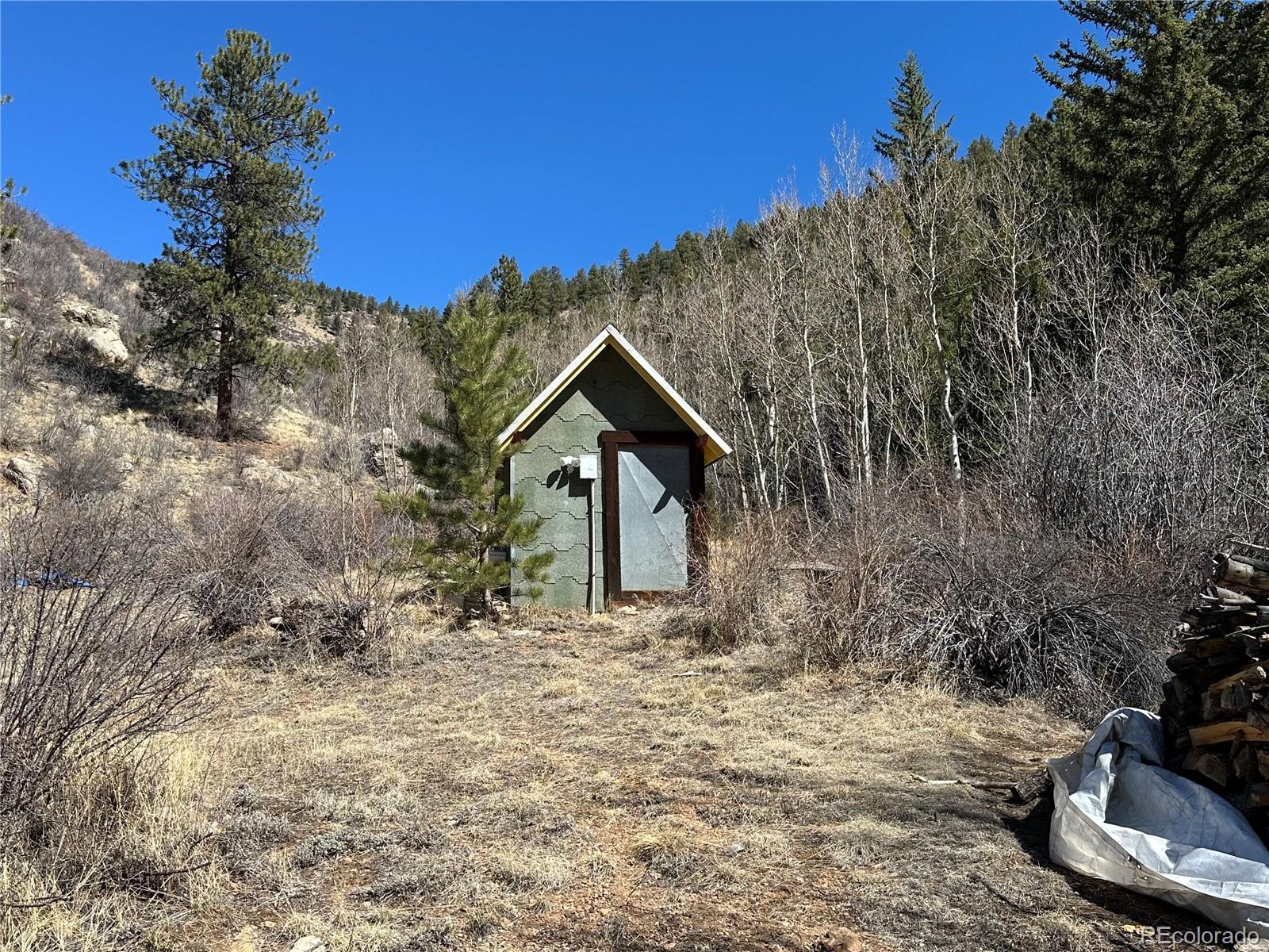 MLS Image #11 for 394  county road 62 ,grant, Colorado
