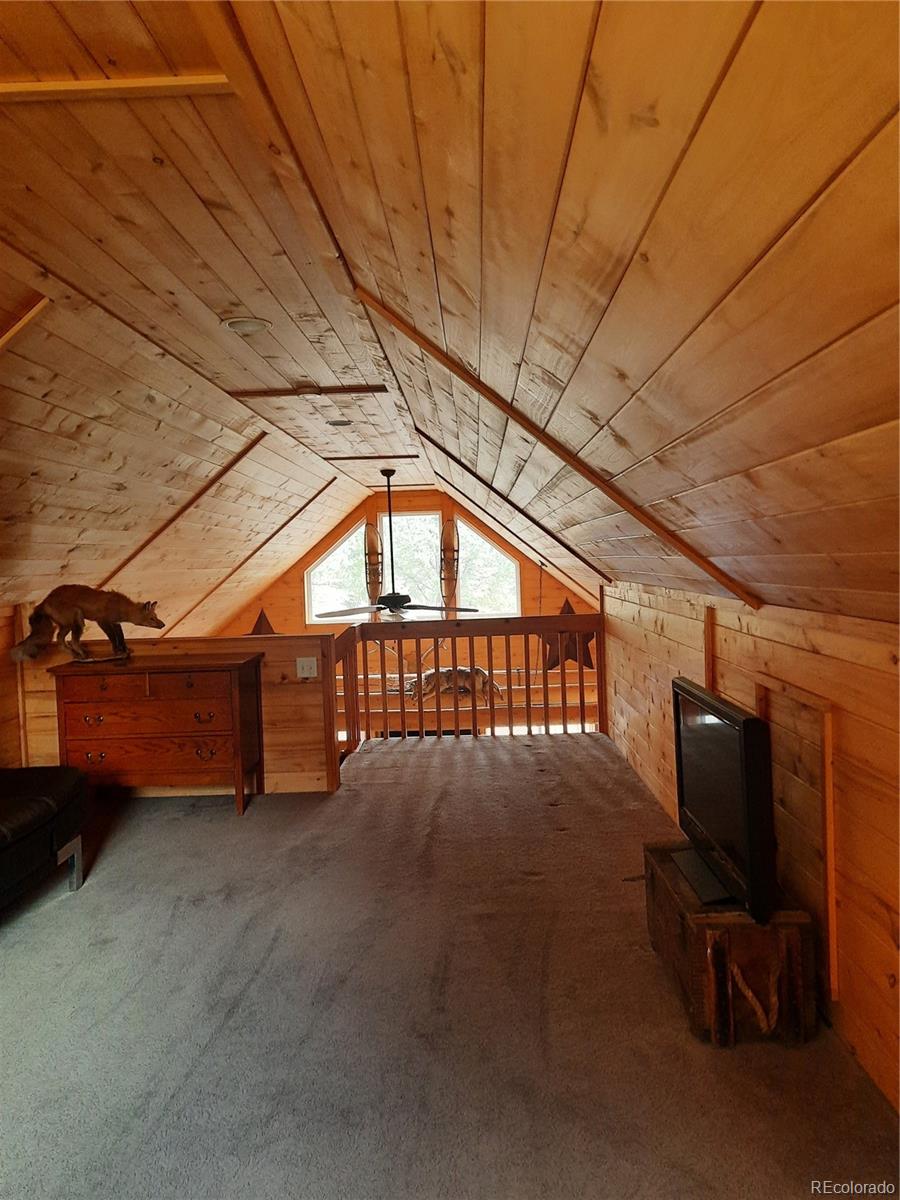 MLS Image #3 for 394  county road 62 ,grant, Colorado