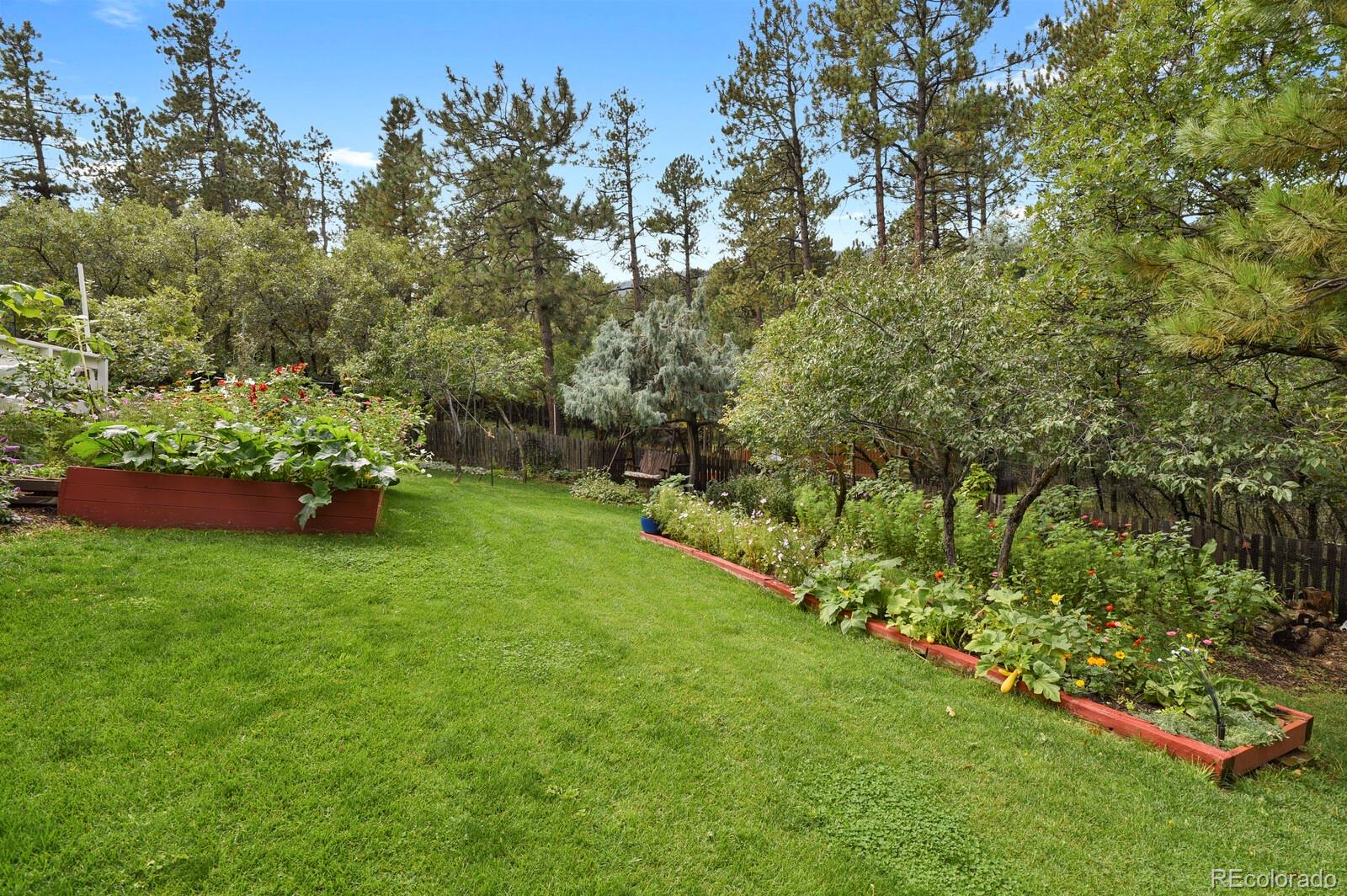 MLS Image #44 for 4693  cheyenne drive,larkspur, Colorado