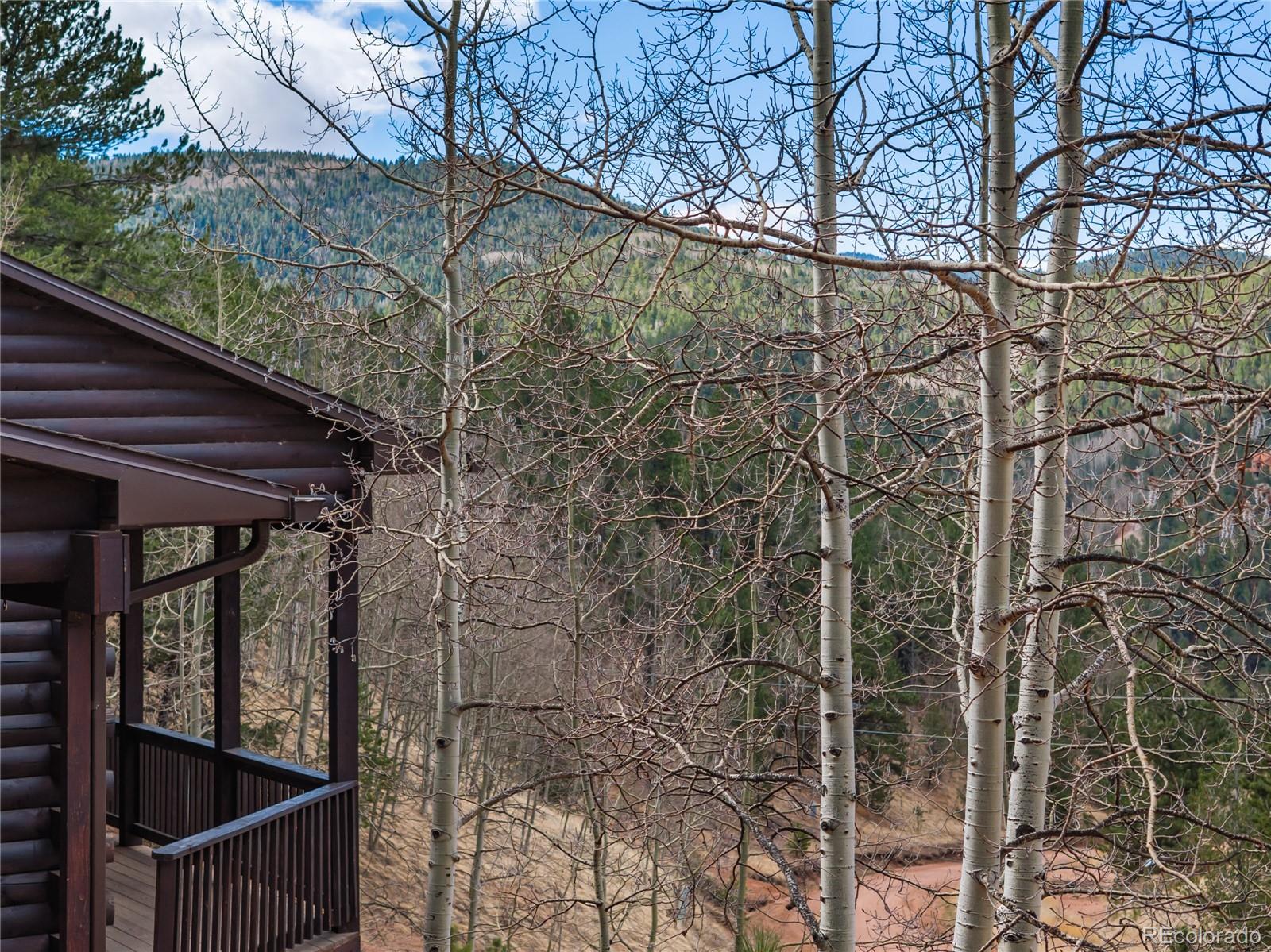 MLS Image #10 for 60  beaver pond road,divide, Colorado