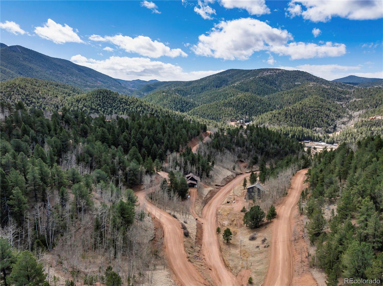 MLS Image #11 for 60  beaver pond road,divide, Colorado