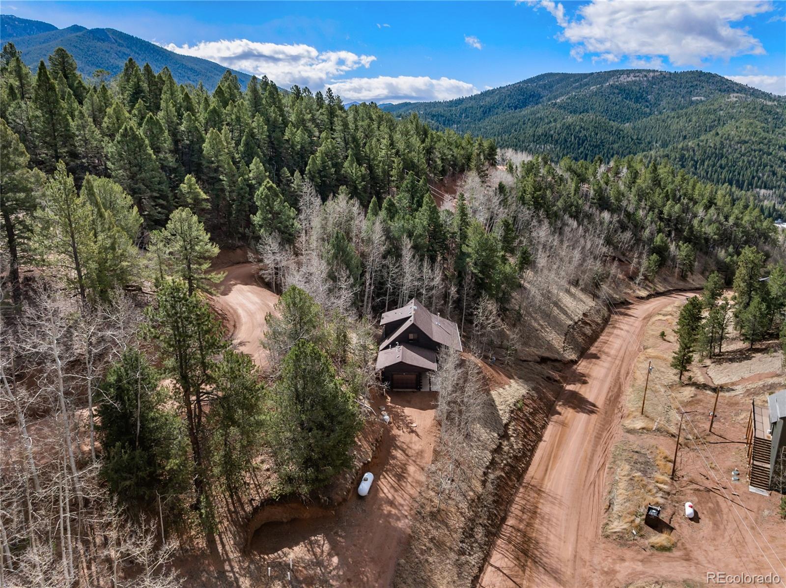 MLS Image #3 for 60  beaver pond road,divide, Colorado