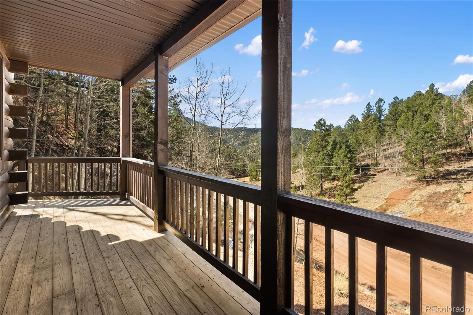 MLS Image #4 for 60  beaver pond road,divide, Colorado