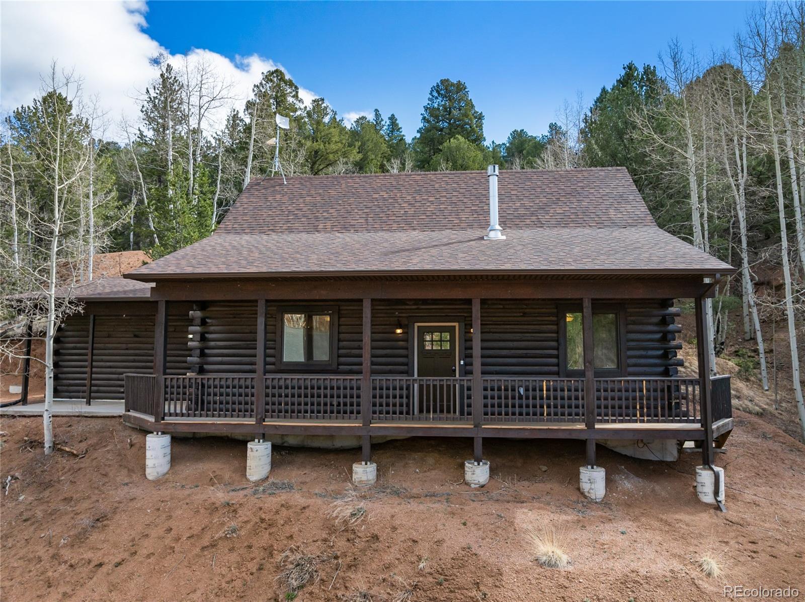 MLS Image #6 for 60  beaver pond road,divide, Colorado