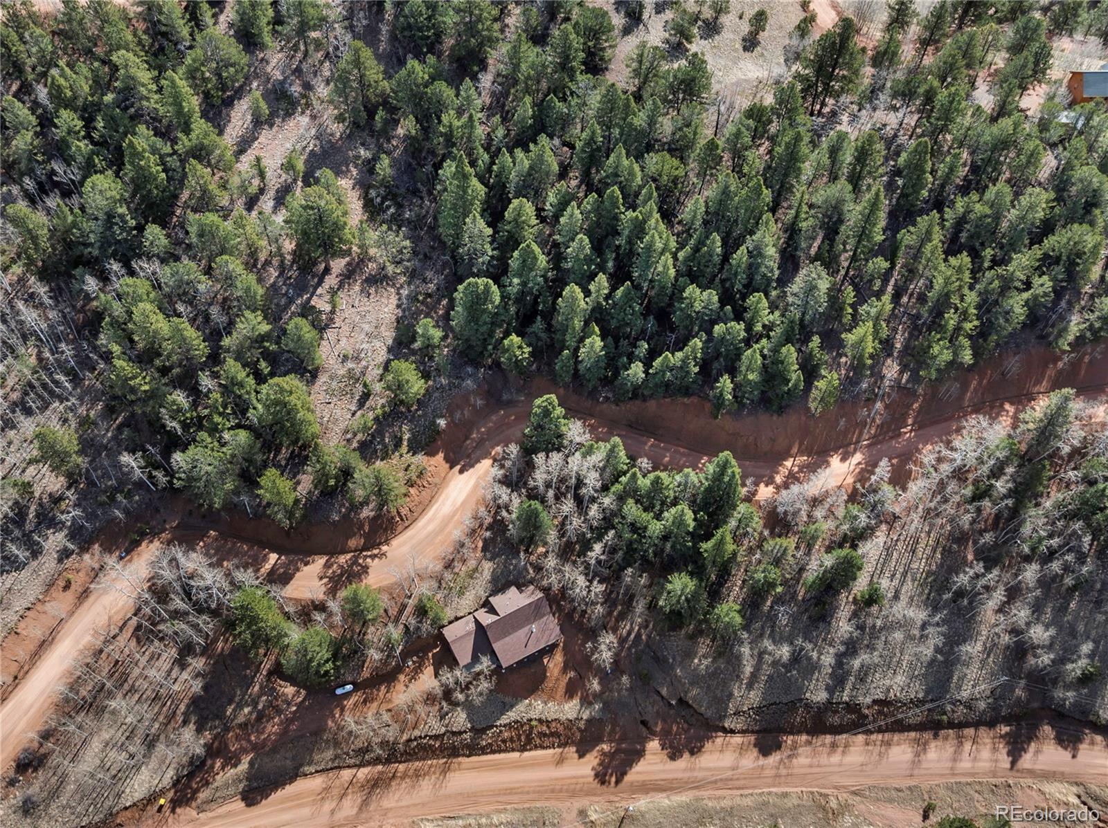 MLS Image #7 for 60  beaver pond road,divide, Colorado
