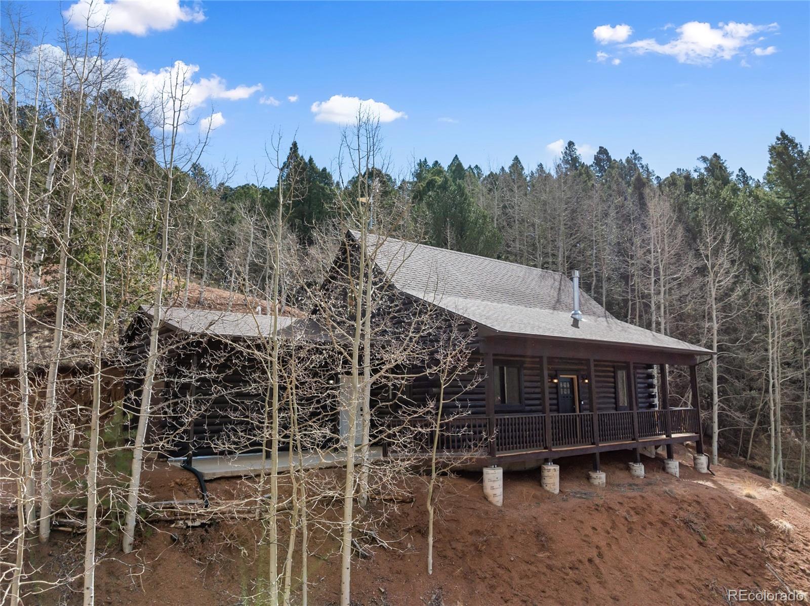 MLS Image #8 for 60  beaver pond road,divide, Colorado