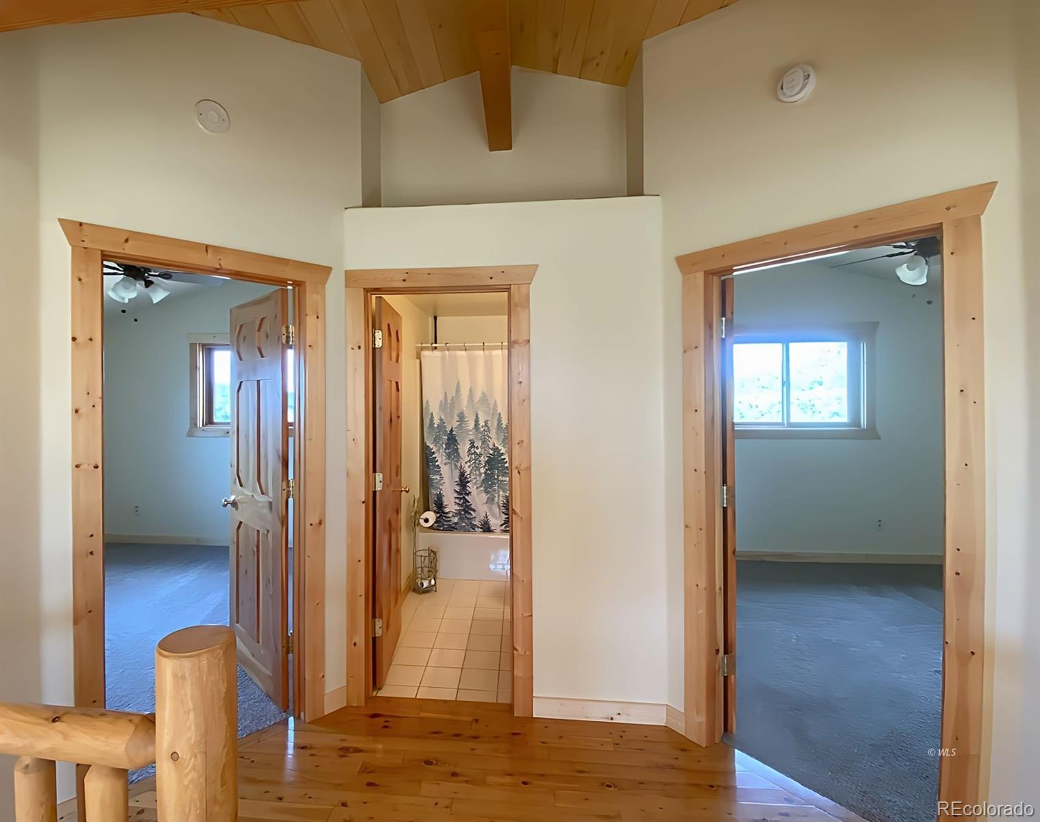 MLS Image #20 for 595  dead mule lane,westcliffe, Colorado