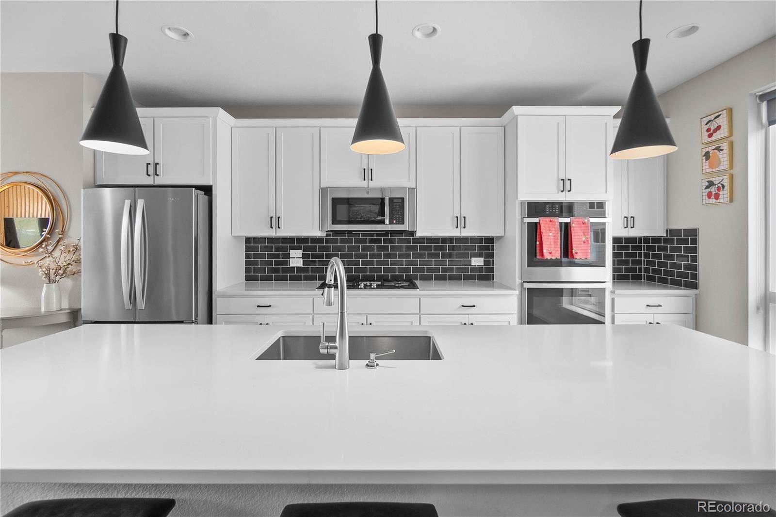 MLS Image #19 for 3445  mykonos drive,castle rock, Colorado