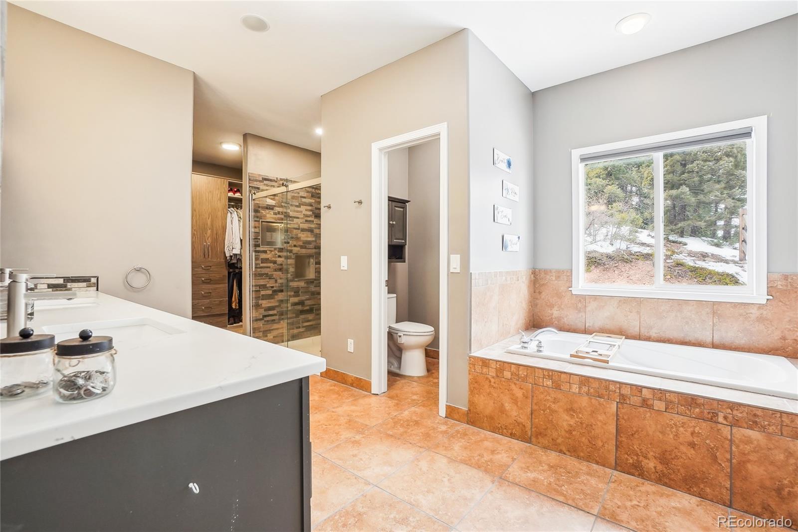 MLS Image #22 for 13084  deer ridge way,larkspur, Colorado
