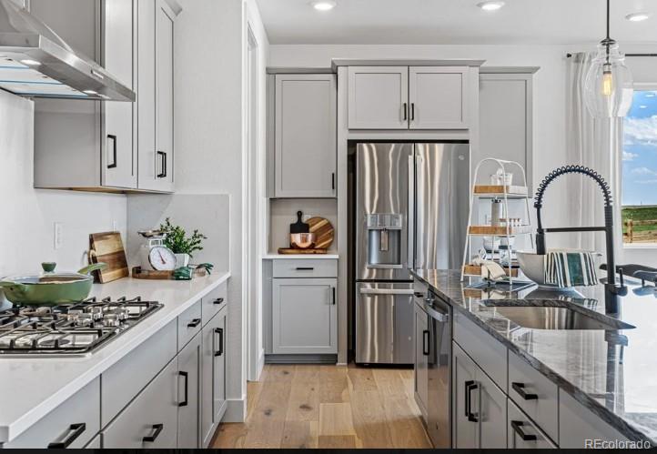 MLS Image #11 for 3567  recess lane,castle rock, Colorado