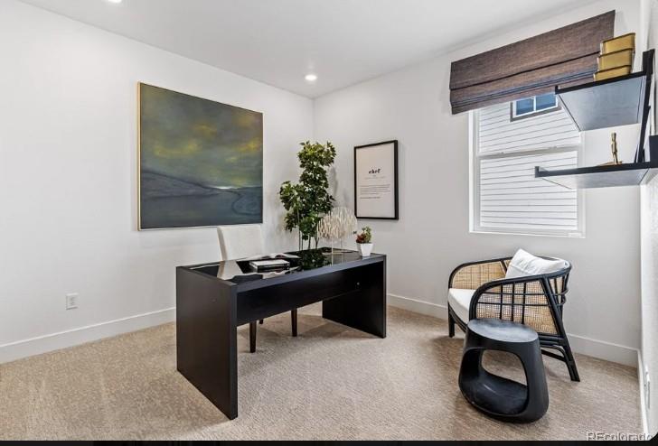 MLS Image #15 for 3567  recess lane,castle rock, Colorado