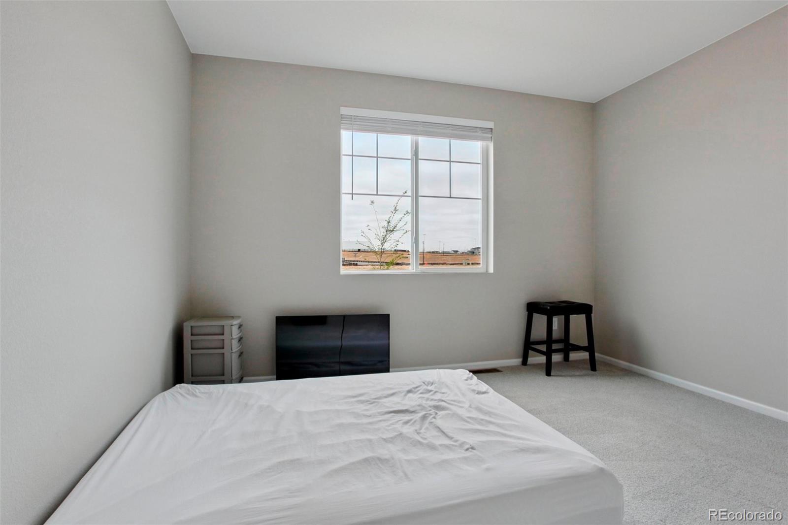 MLS Image #10 for 4140  grand lake street,brighton, Colorado
