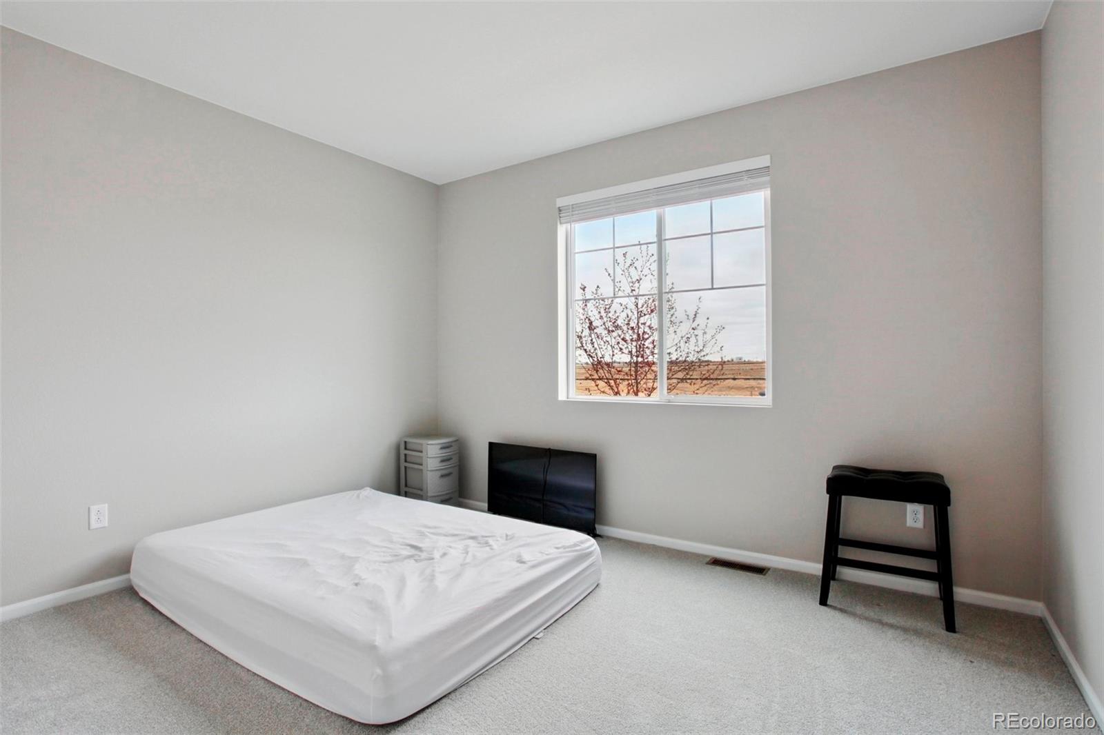 MLS Image #8 for 4140  grand lake street,brighton, Colorado