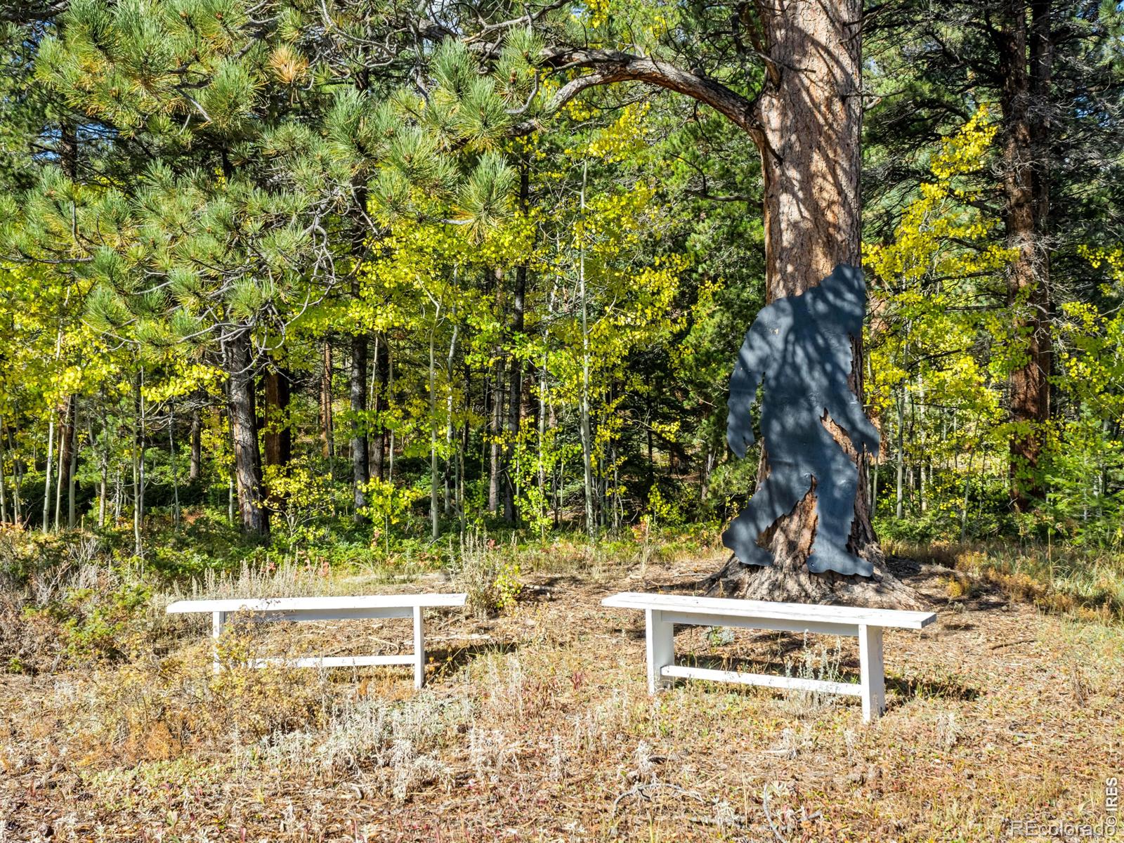 MLS Image #43 for 11982  peak to peak drive,allenspark, Colorado