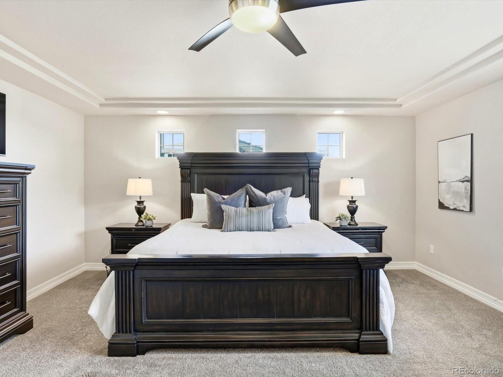 MLS Image #29 for 103  pipit lake court,erie, Colorado