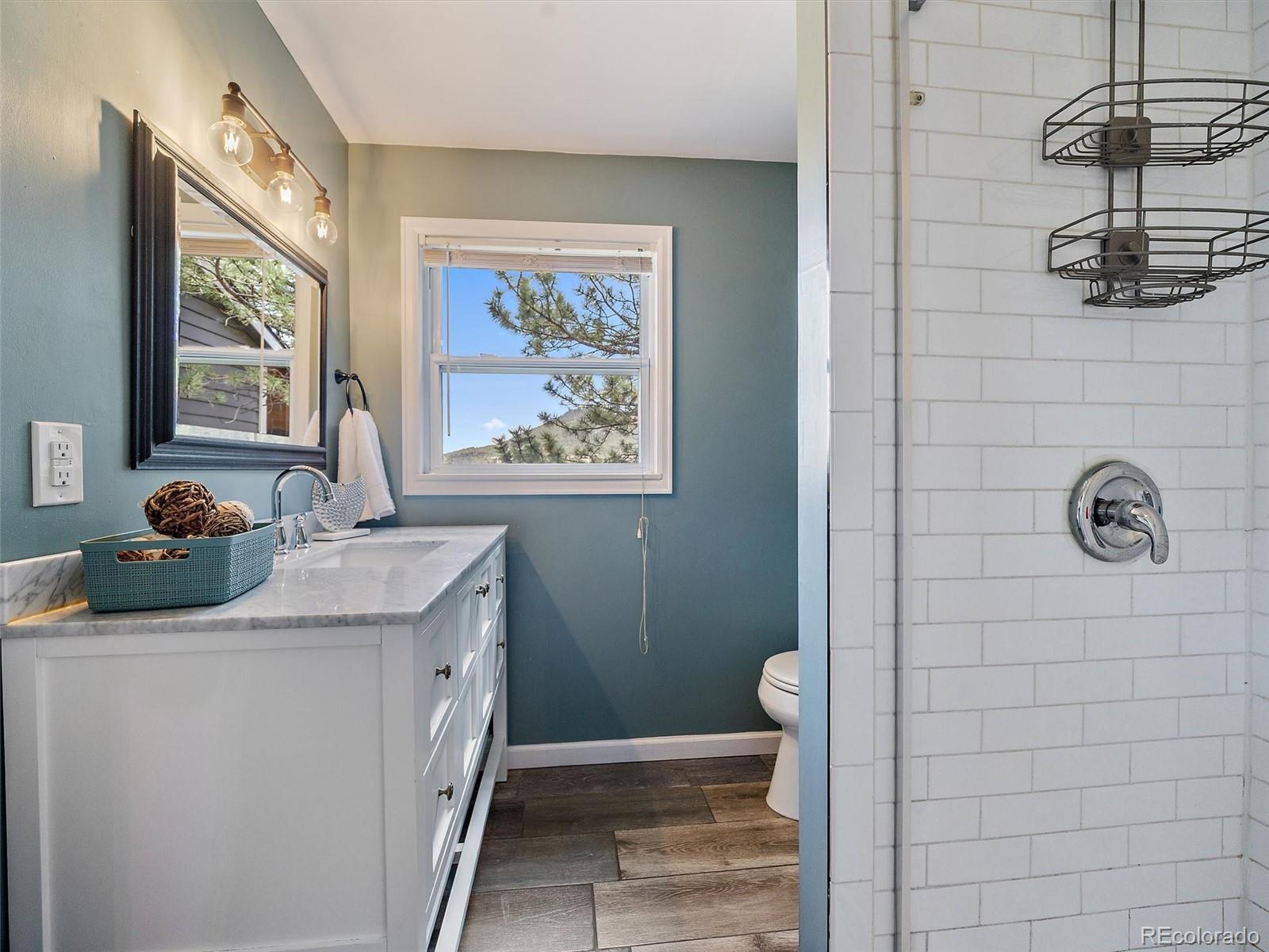 MLS Image #26 for 29035  douglas park road,evergreen, Colorado