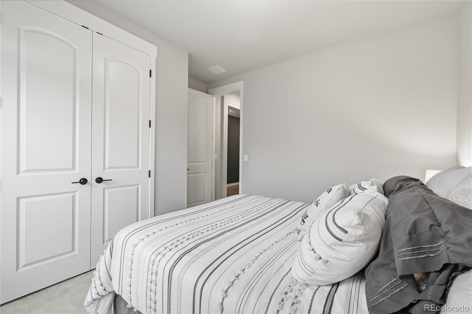 MLS Image #5 for 5789  slate river place,brighton, Colorado