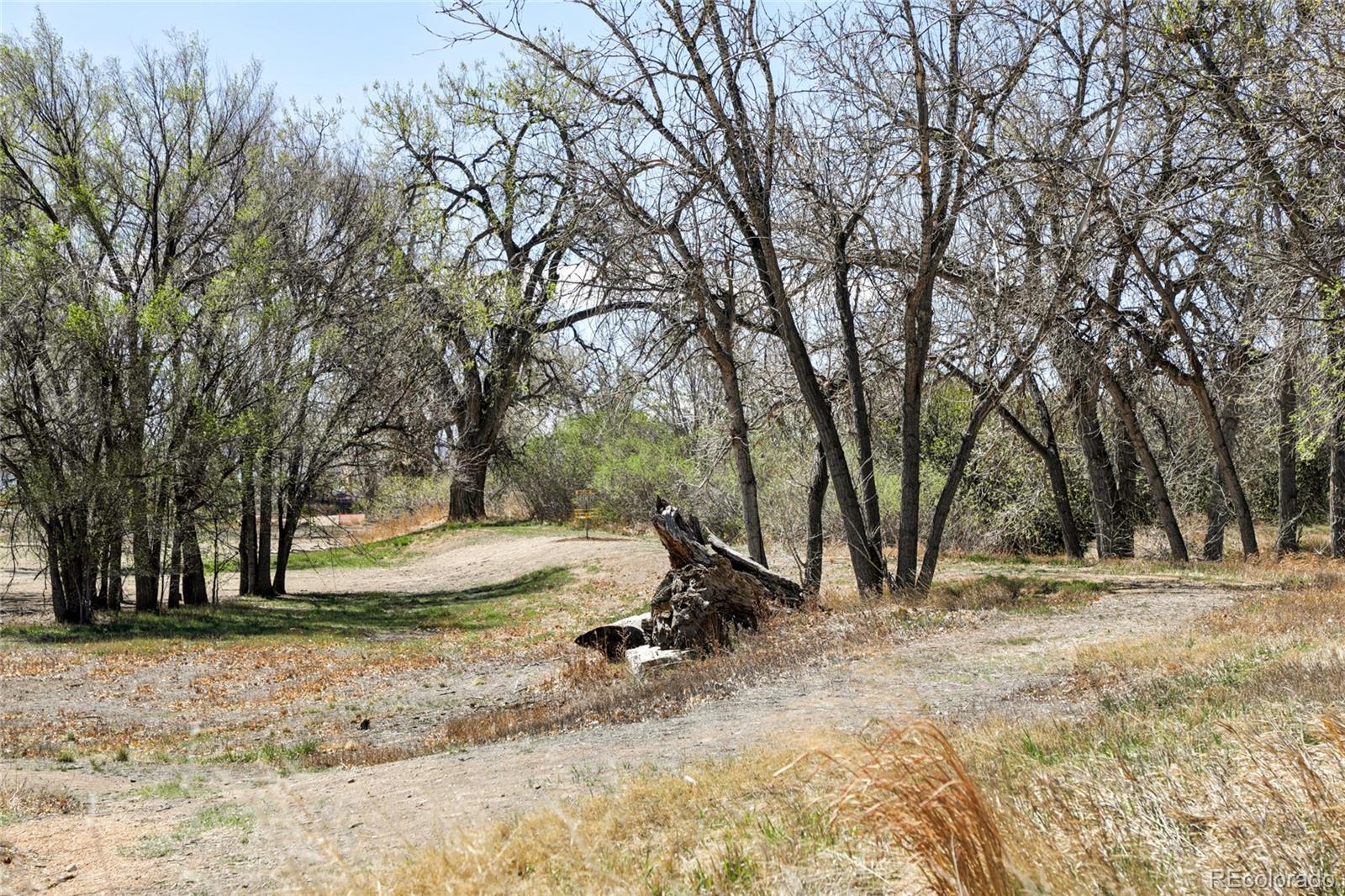 MLS Image #31 for 9106  clermont drive,thornton, Colorado