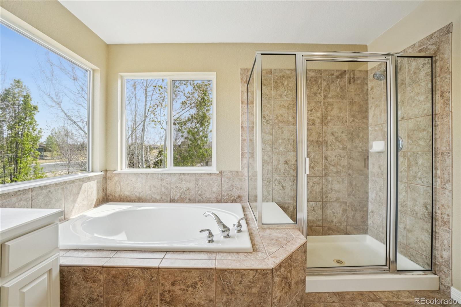 MLS Image #19 for 8110  northstar drive,windsor, Colorado