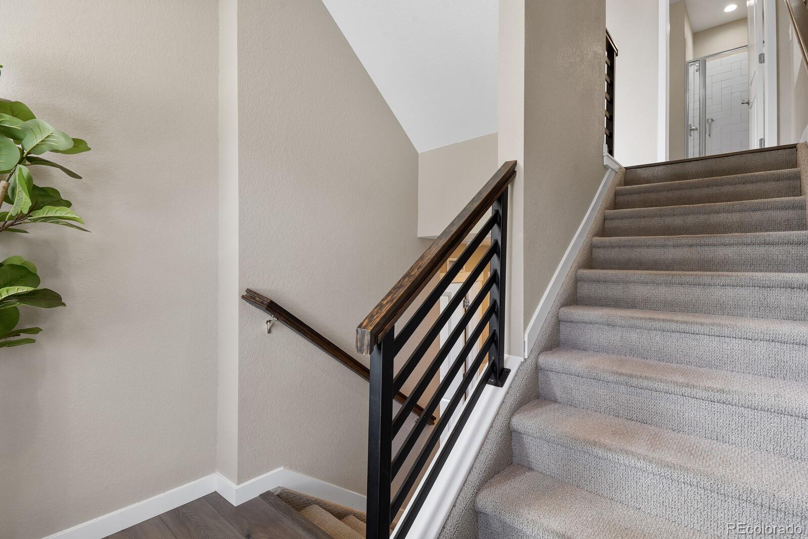 MLS Image #10 for 6843  lily mountain lane,colorado springs, Colorado