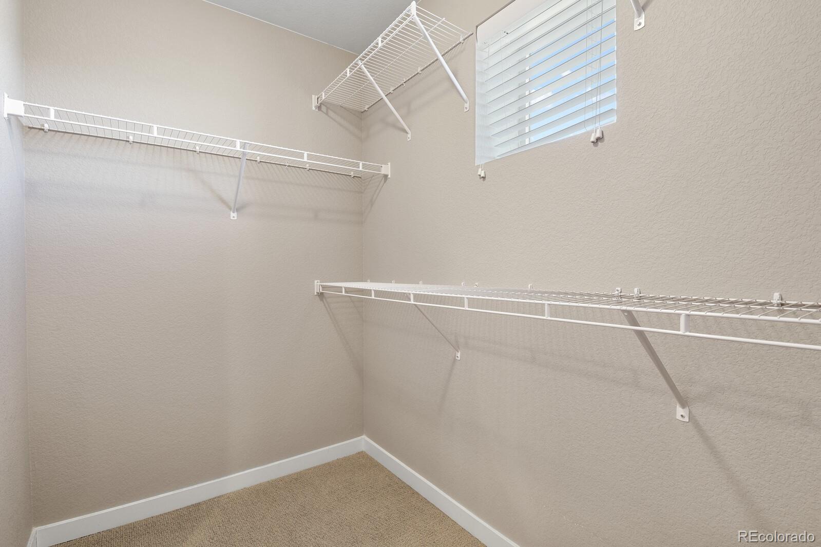 MLS Image #15 for 6843  lily mountain lane,colorado springs, Colorado
