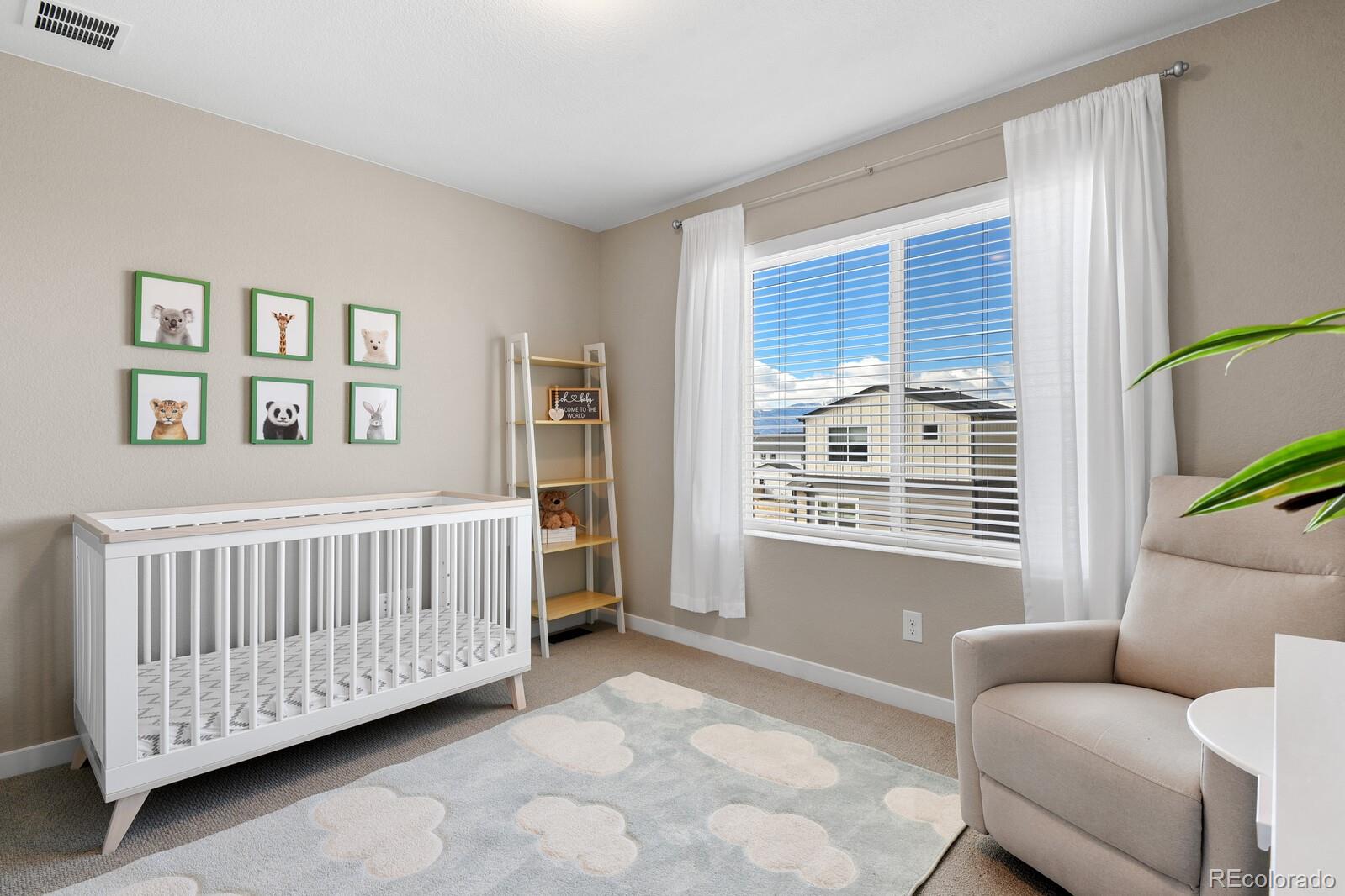 MLS Image #16 for 6843  lily mountain lane,colorado springs, Colorado