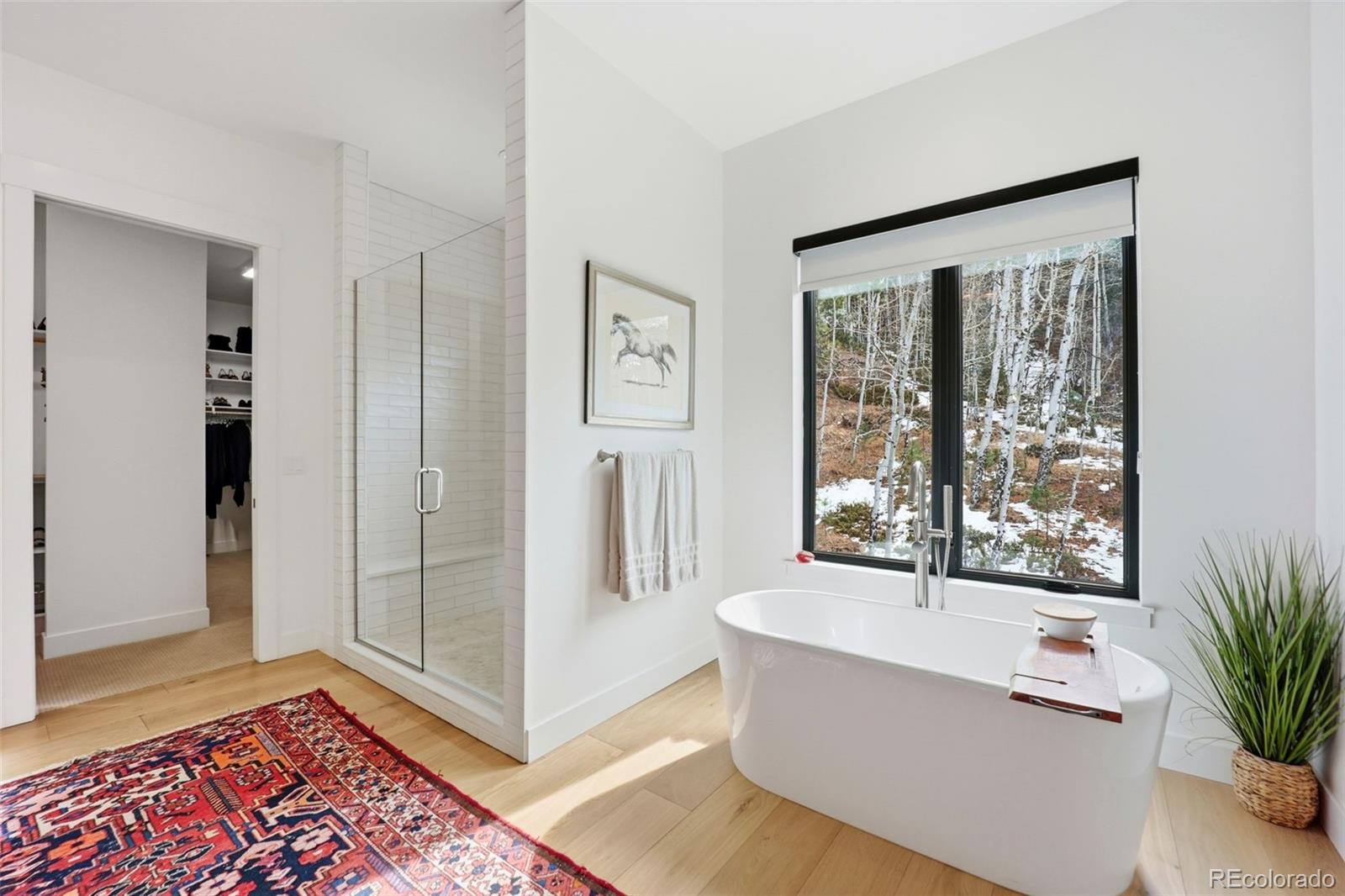 MLS Image #17 for 1005  locklin way,woodland park, Colorado