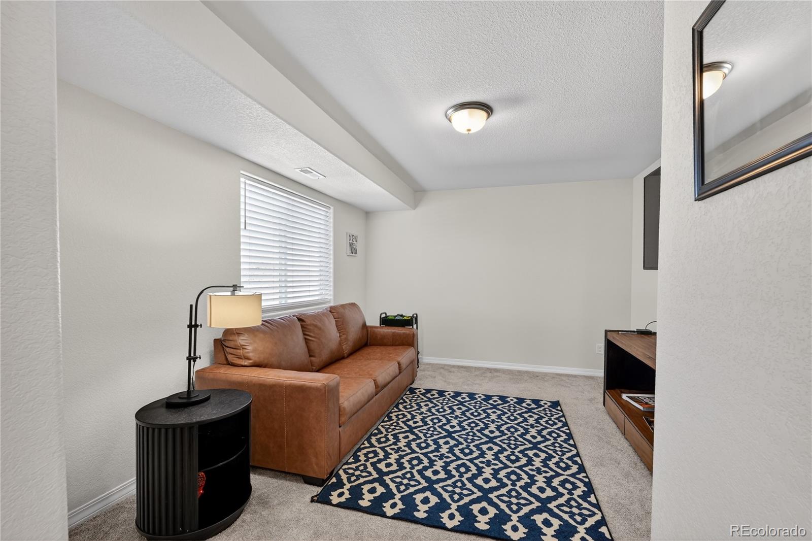 MLS Image #10 for 5292  painted sky view,colorado springs, Colorado