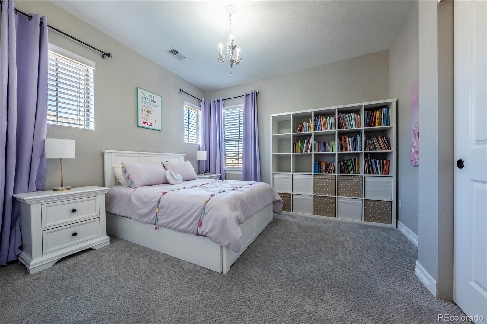 MLS Image #28 for 11586  pine canyon drive,parker, Colorado