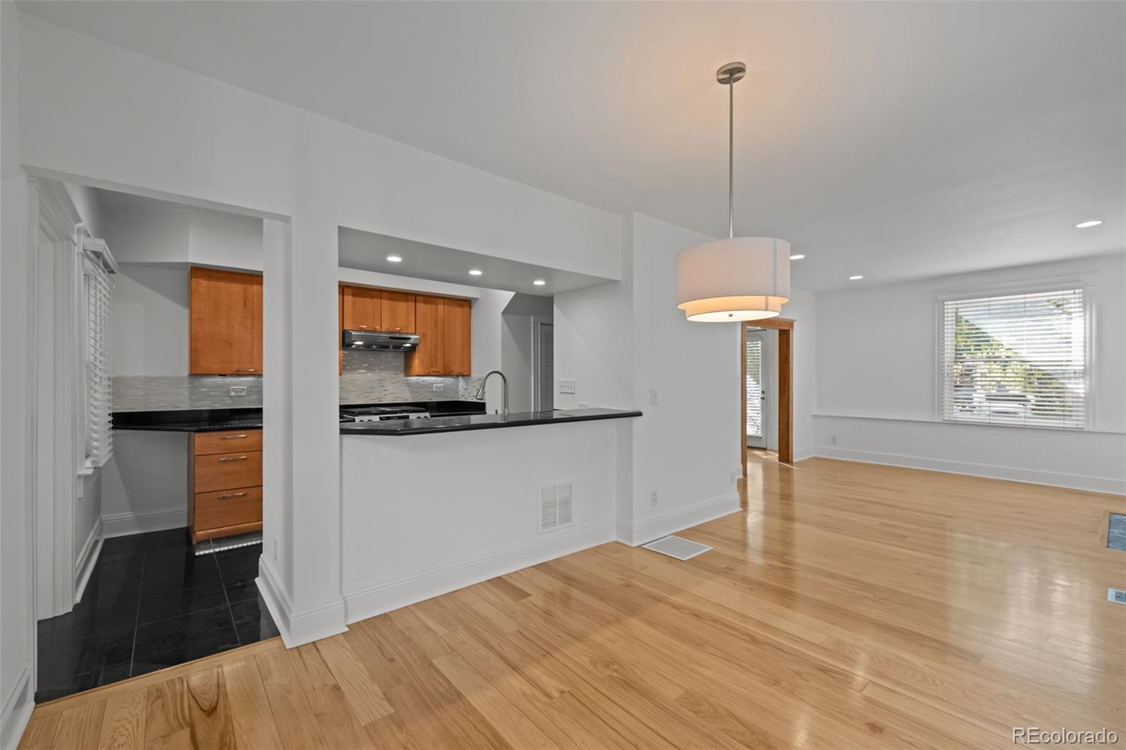 MLS Image #11 for 316 s humboldt street,denver, Colorado