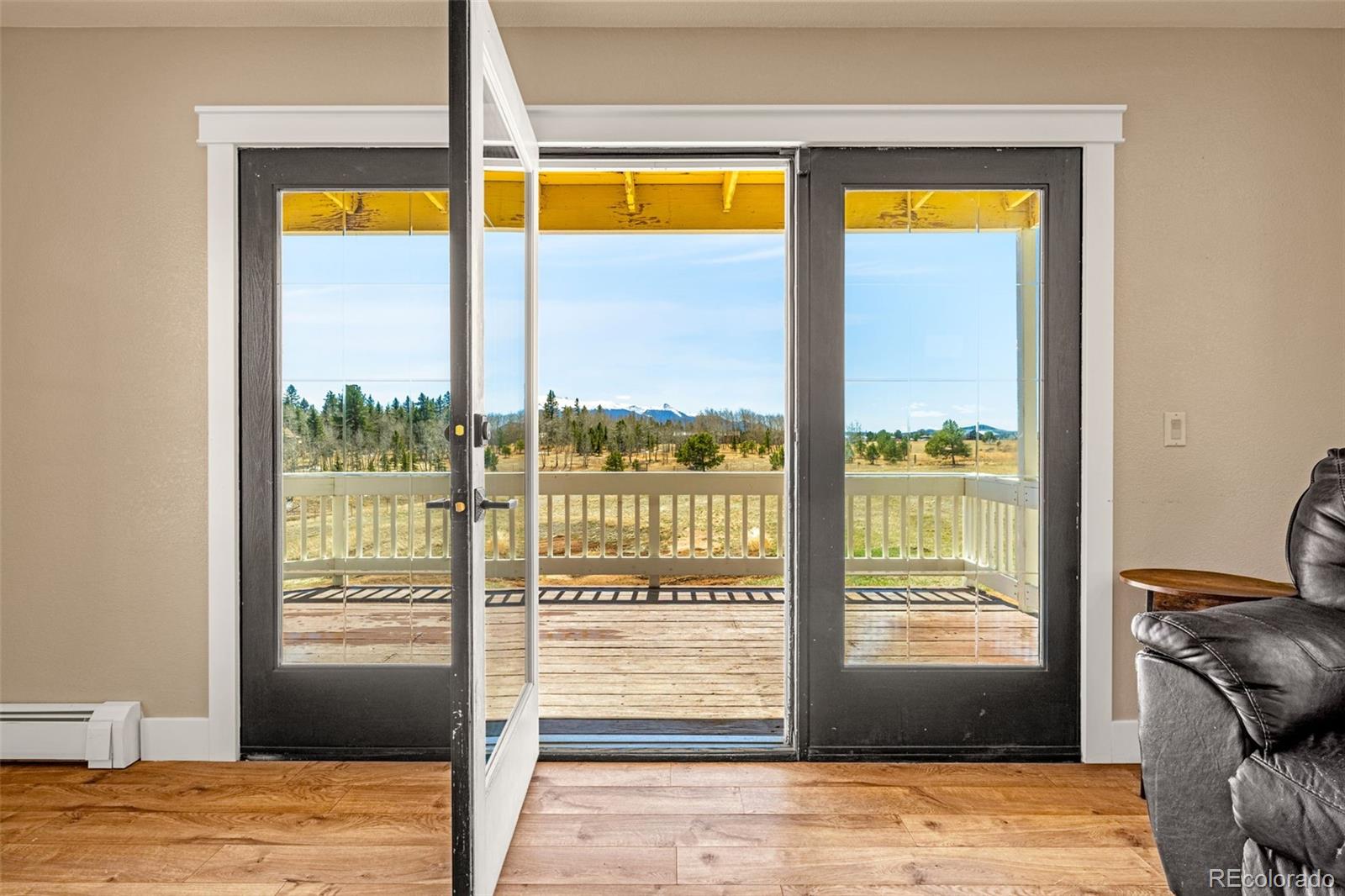 MLS Image #10 for 78  moss rock drive,divide, Colorado