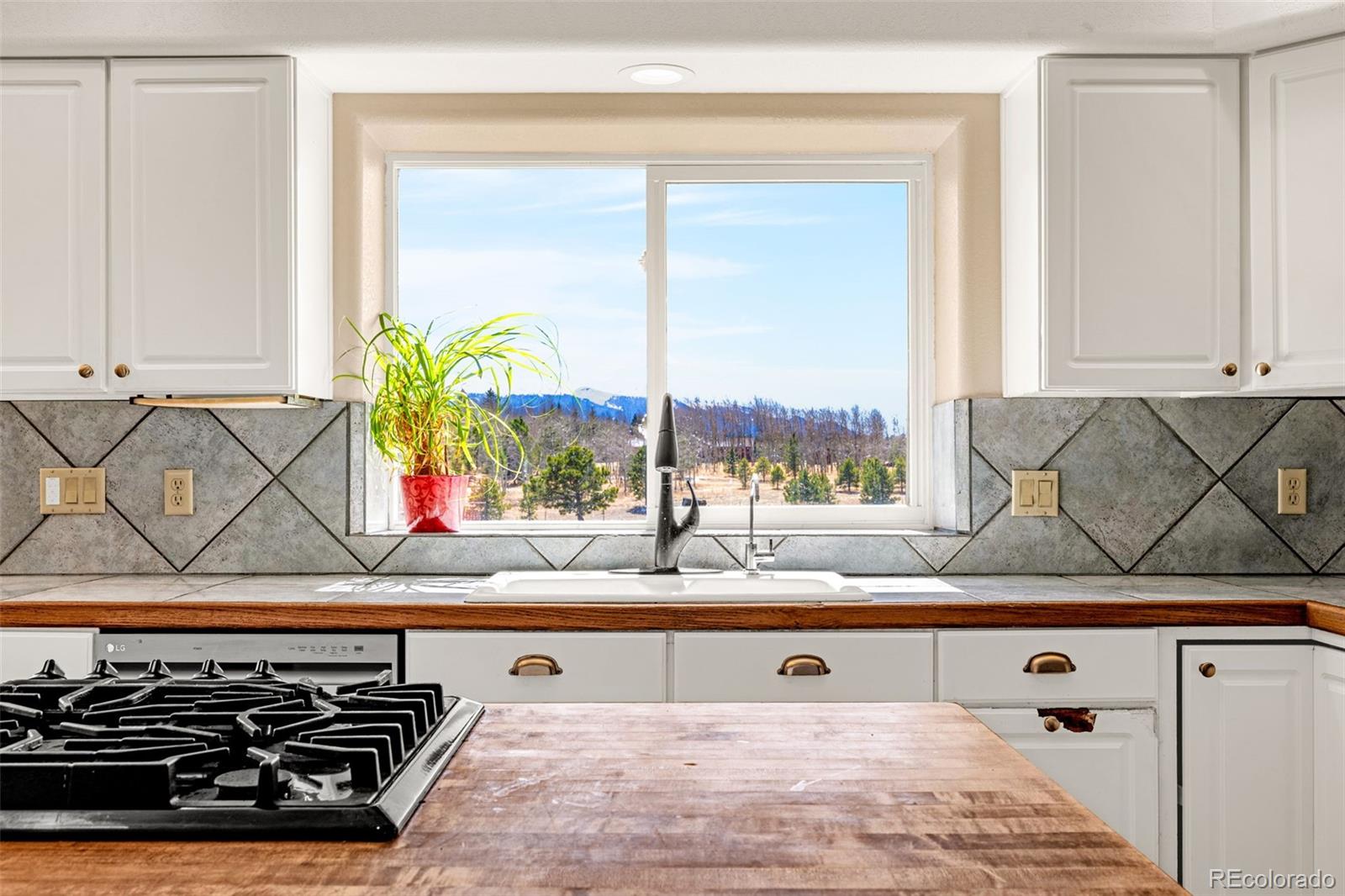 MLS Image #12 for 78  moss rock drive,divide, Colorado