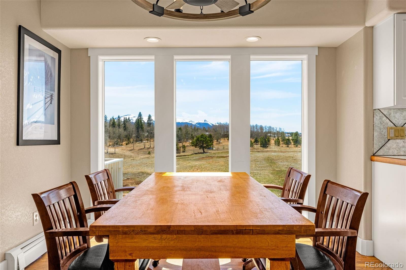 MLS Image #15 for 78  moss rock drive,divide, Colorado