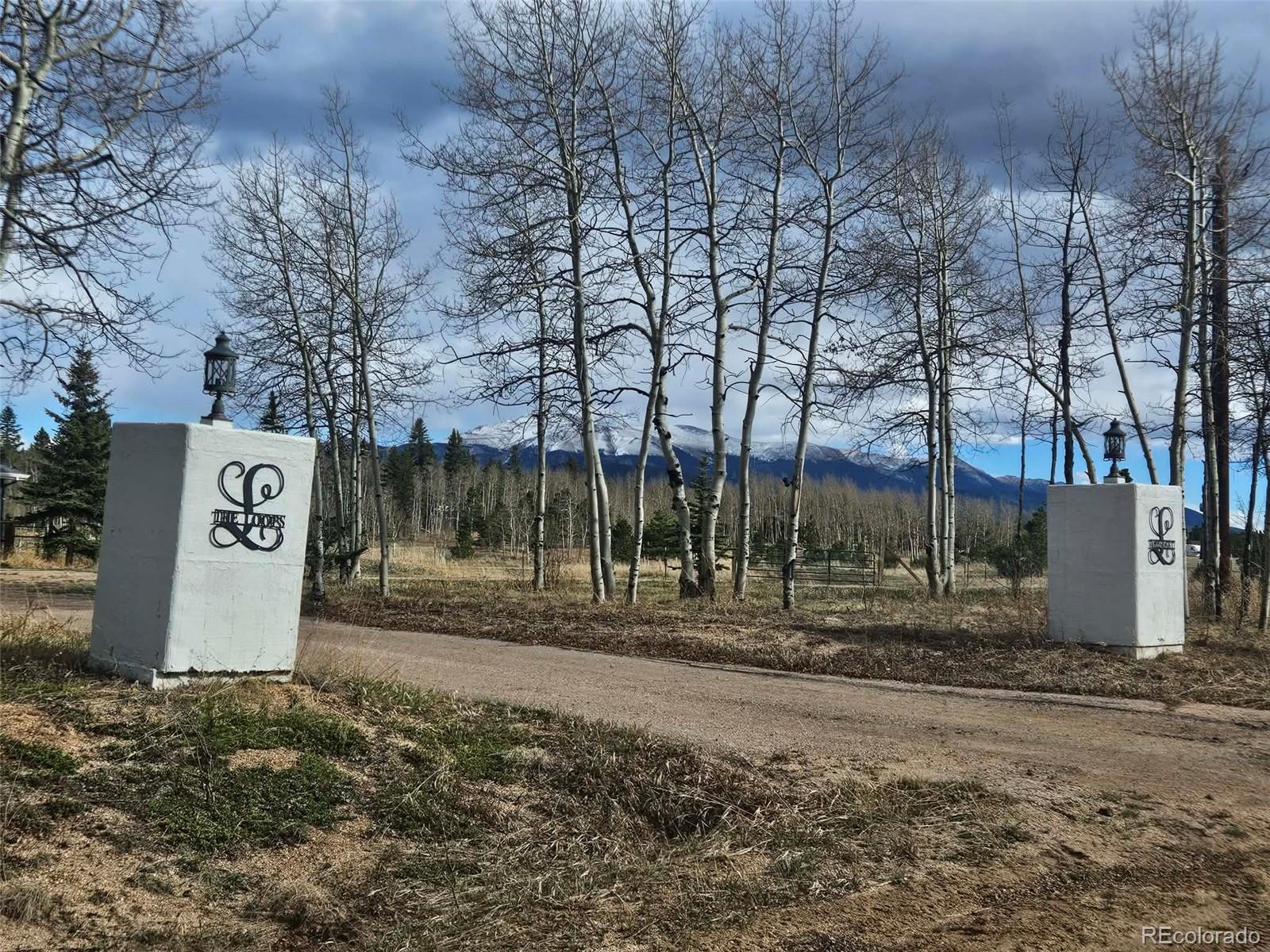 MLS Image #2 for 78  moss rock drive,divide, Colorado