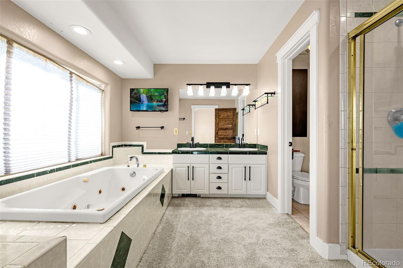 MLS Image #21 for 78  moss rock drive,divide, Colorado