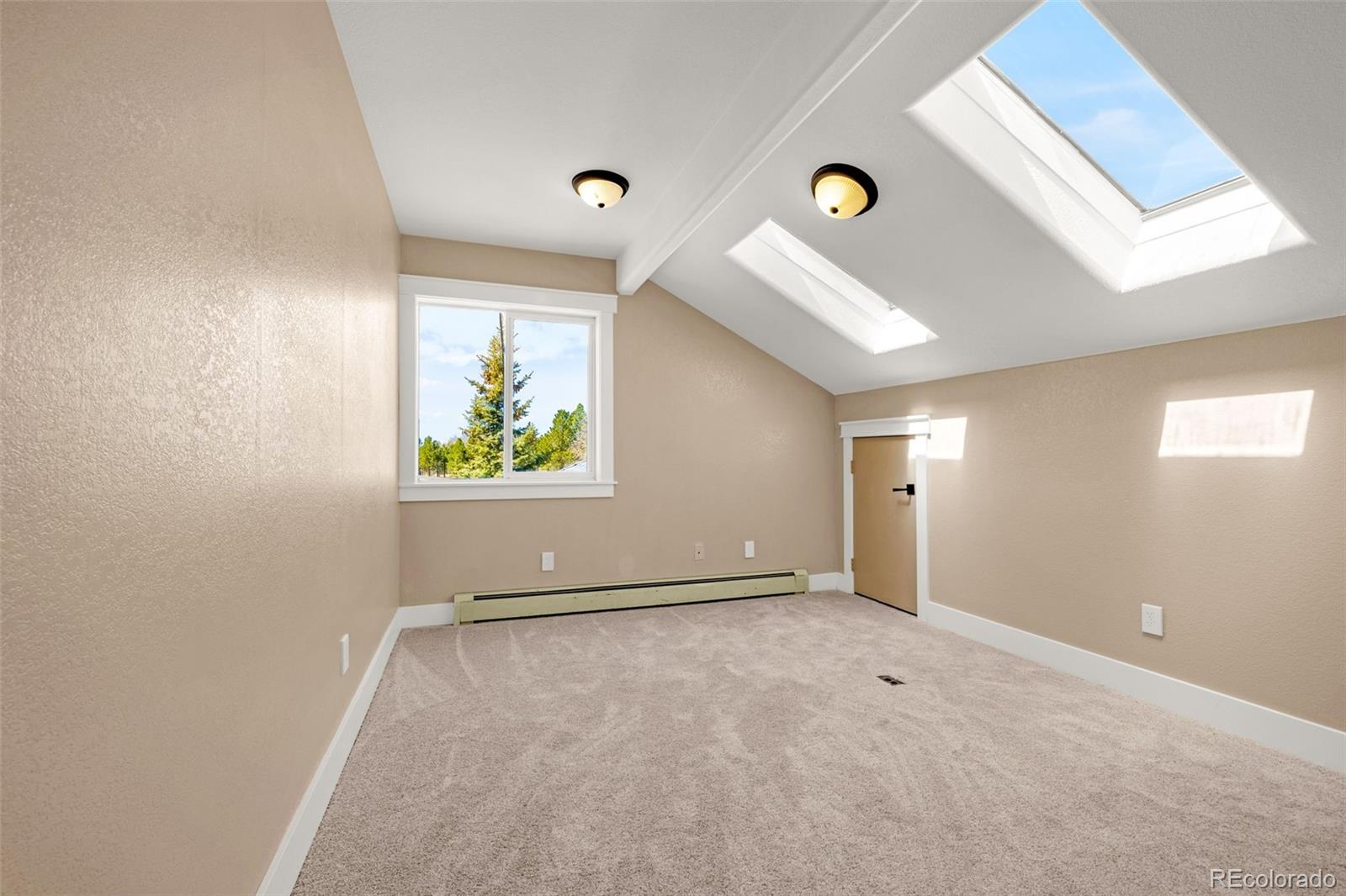 MLS Image #24 for 78  moss rock drive,divide, Colorado