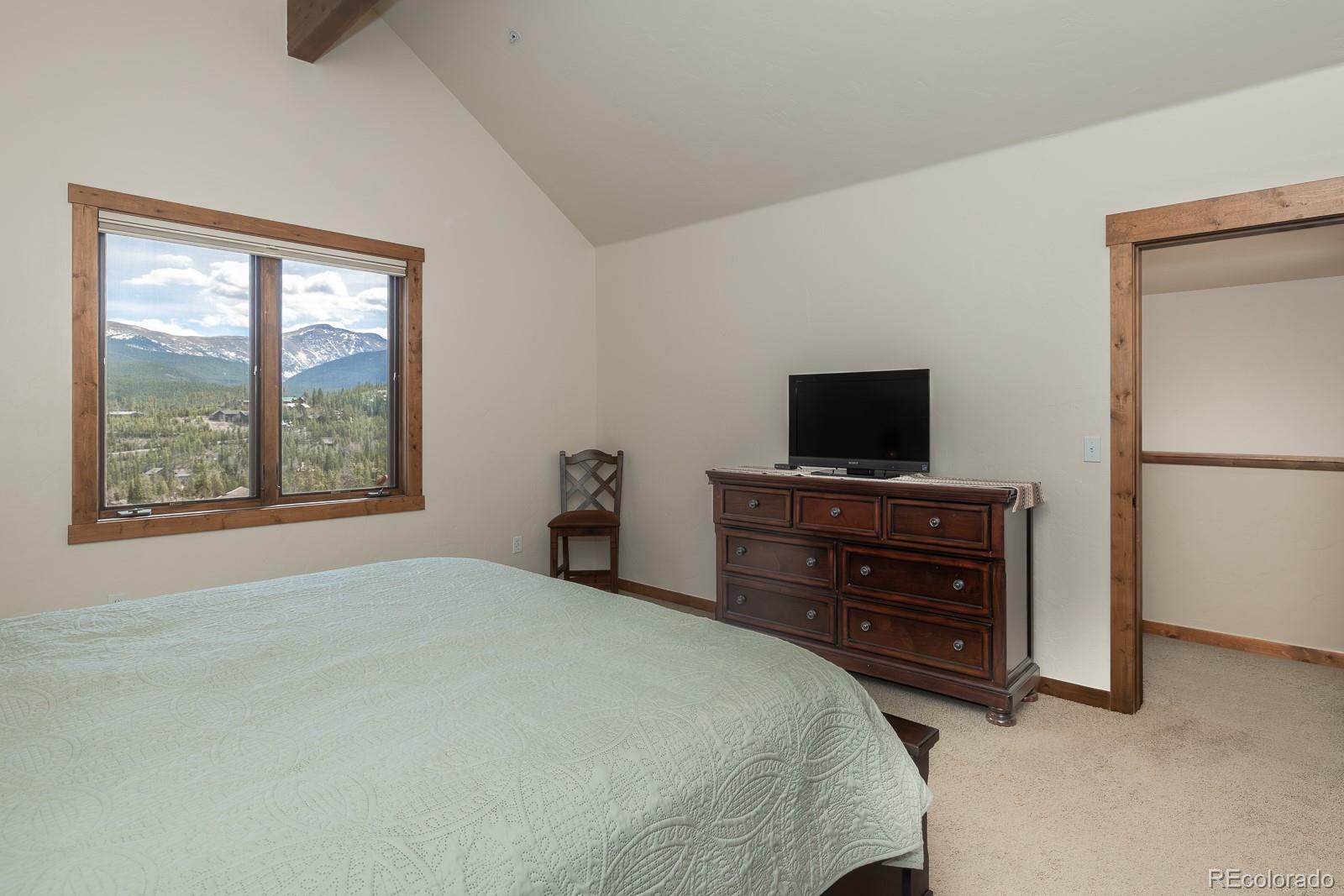 MLS Image #6 for 115  bear trail court,winter park, Colorado