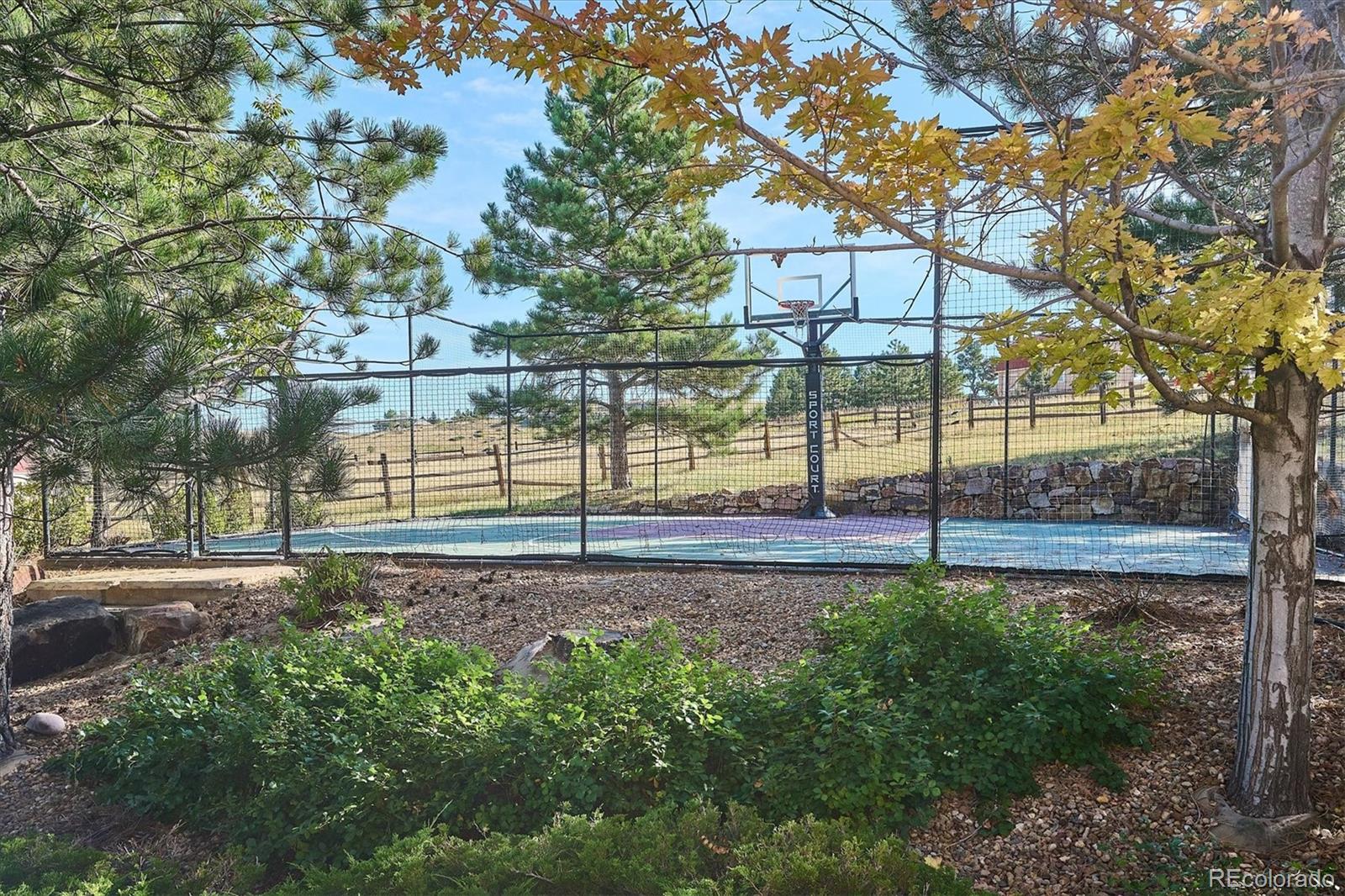 MLS Image #6 for 10378  grande vista court,lone tree, Colorado